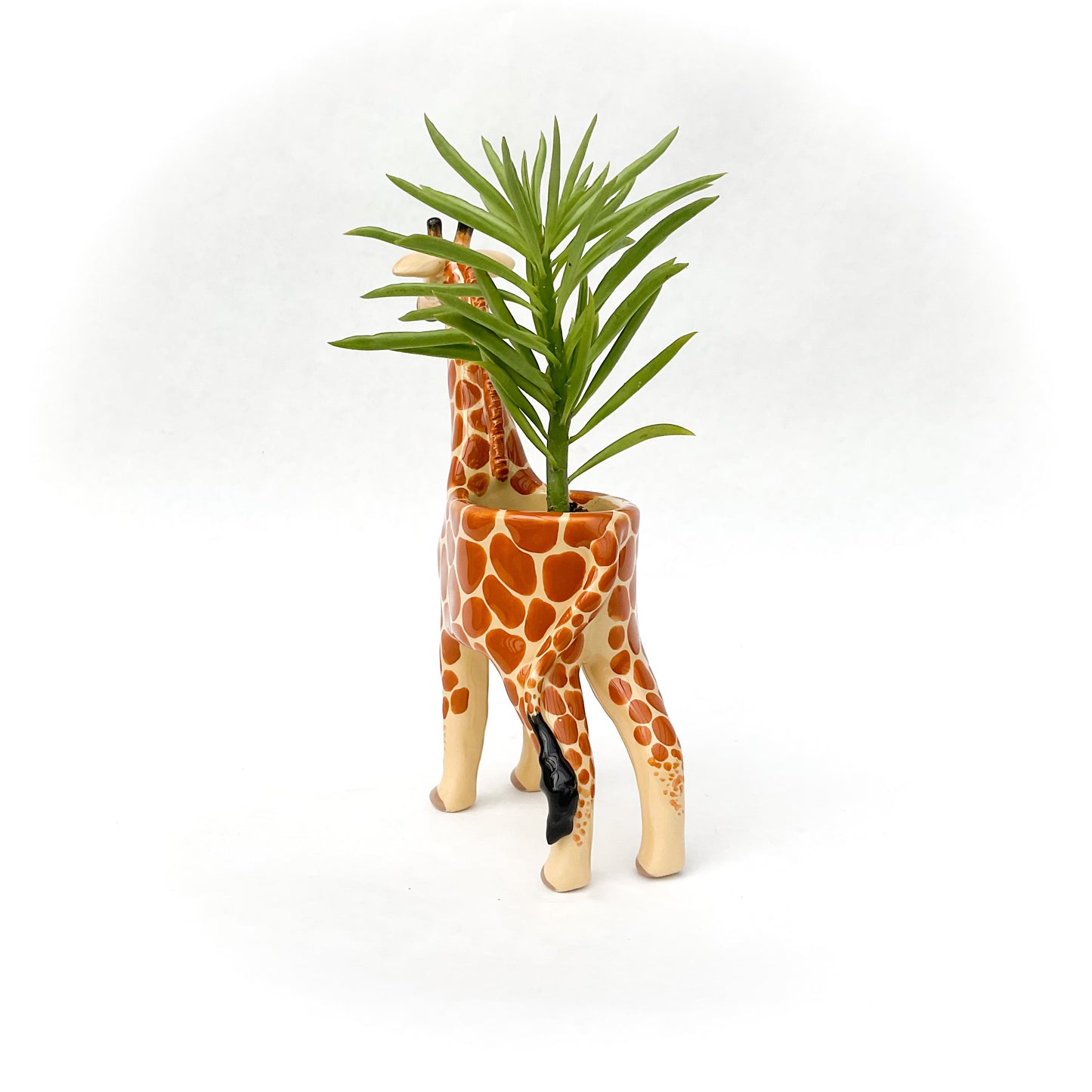 Giraffe Pot - Ceramic Giraffe Planter