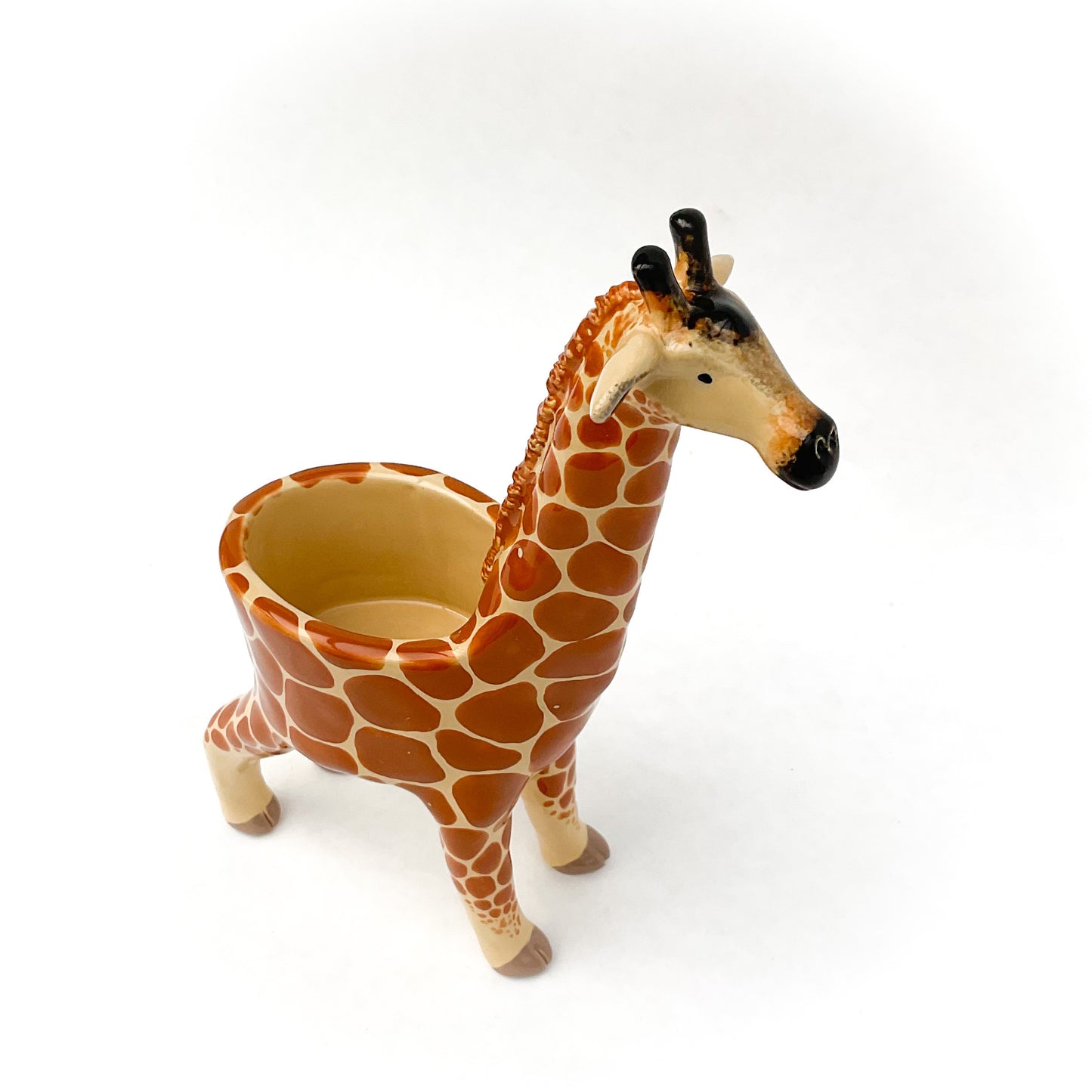 Giraffe Pot - Ceramic Giraffe Planter