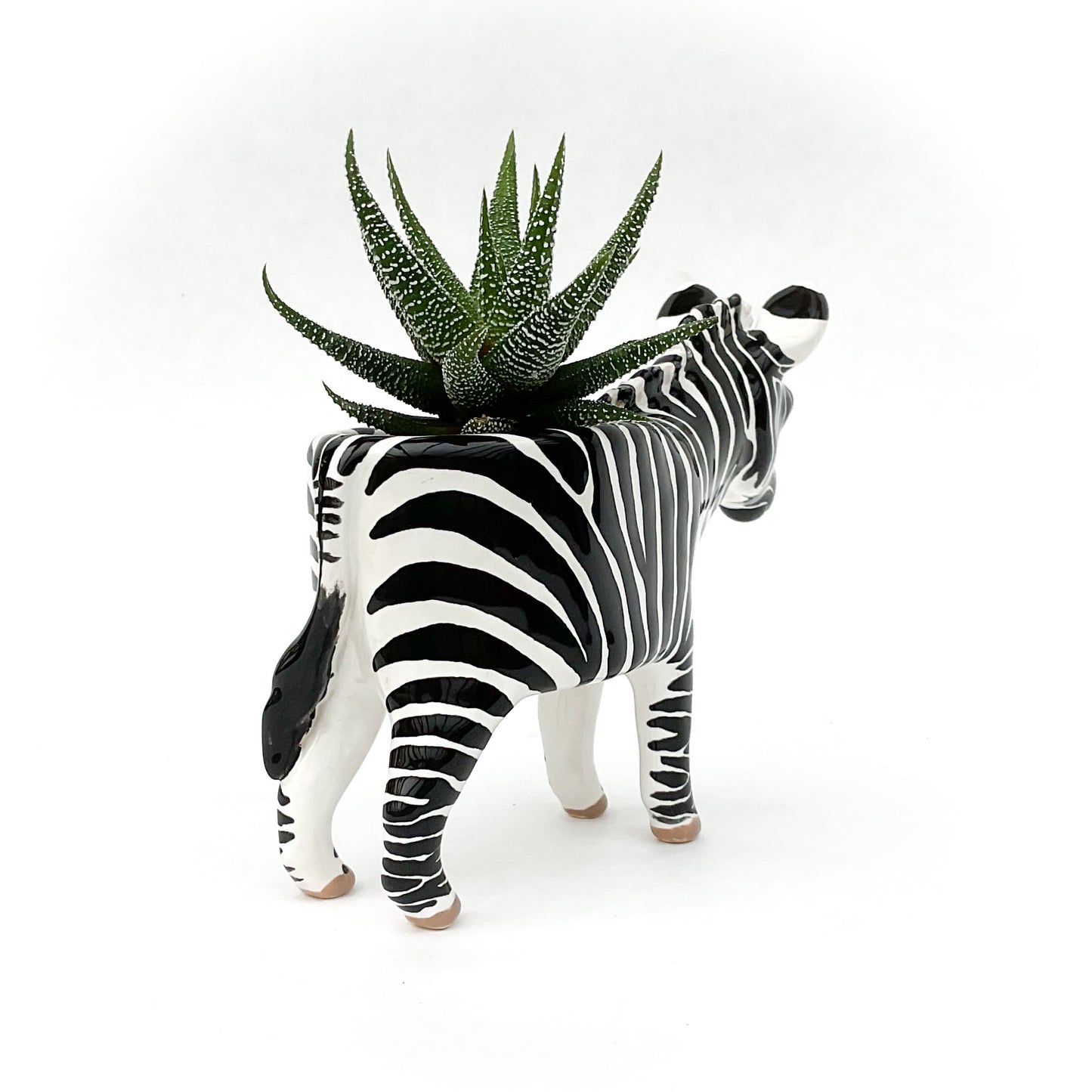 Zebra Pot - Ceramic Zebra Planter