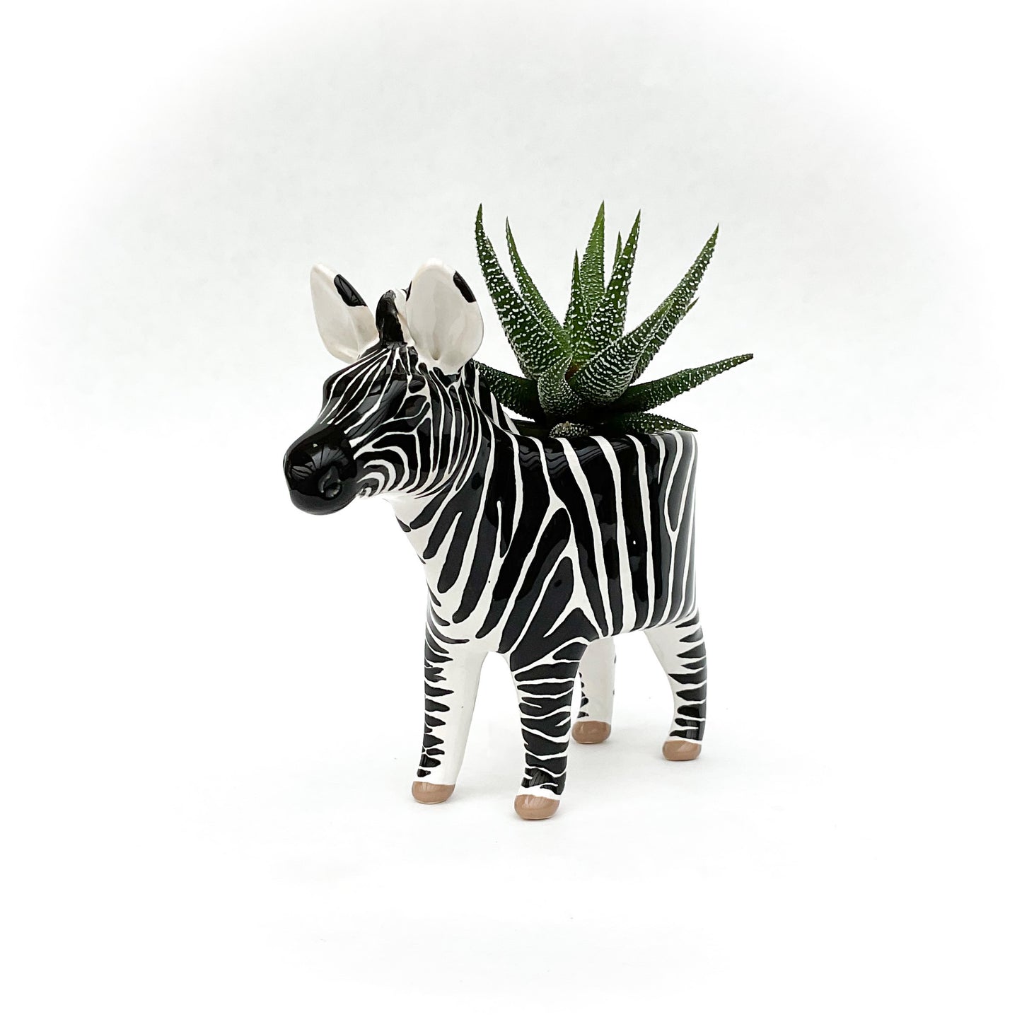 Zebra Pot - Ceramic Zebra Planter