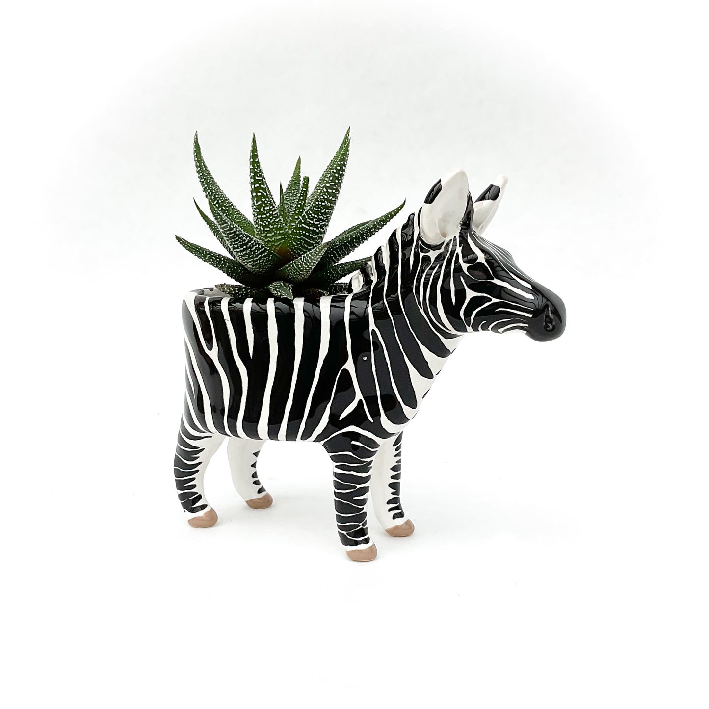 Zebra Pot - Ceramic Zebra Planter