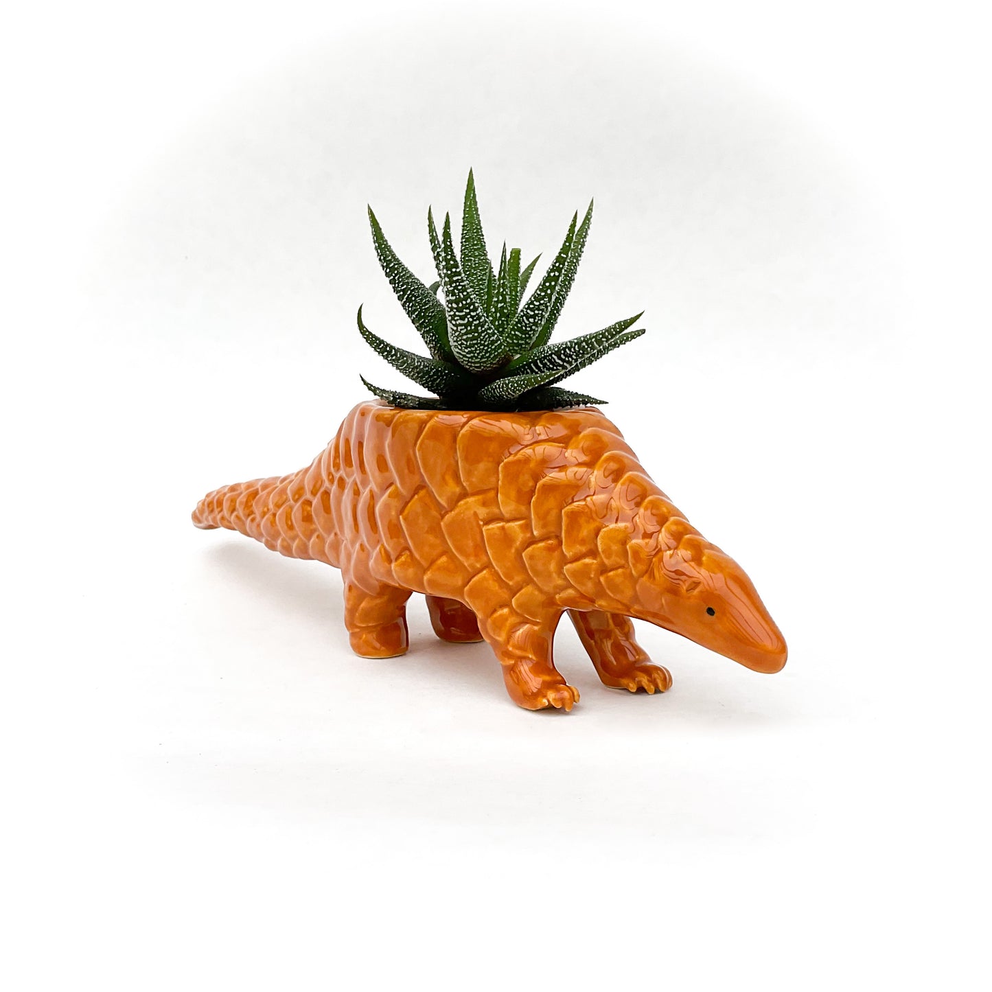 Pangolin Pot - Ceramic Pangolin Planter