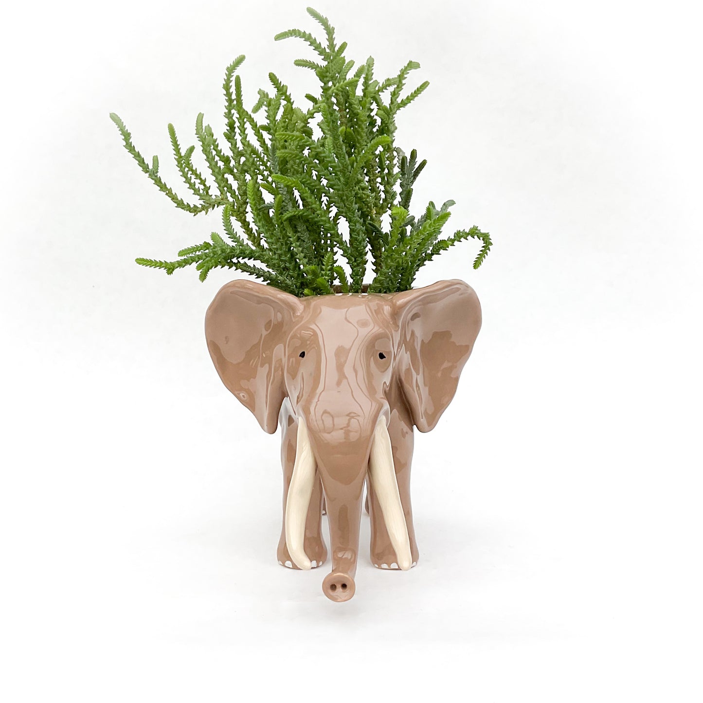 African Elephant Planter - Elephant Succulent Pot