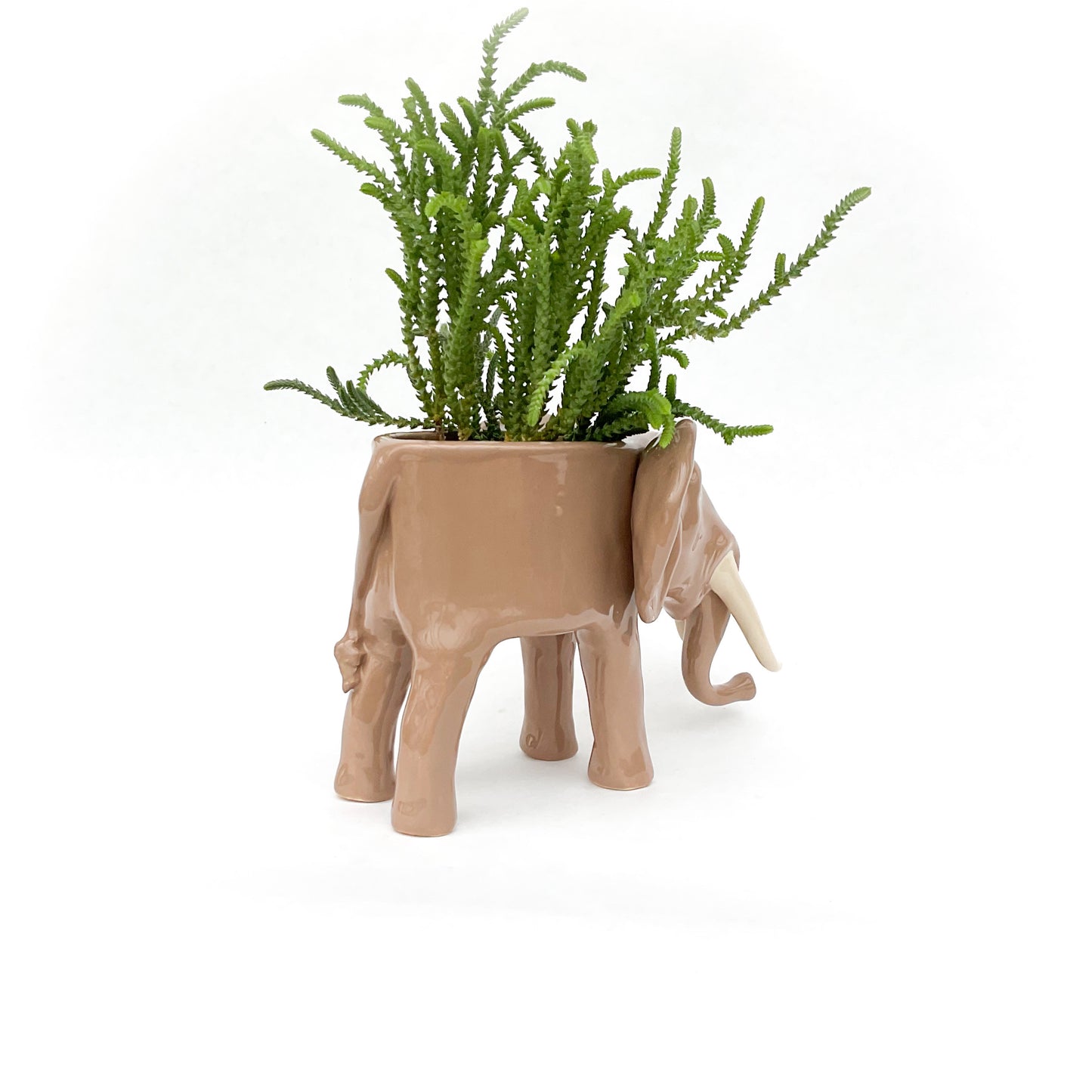 African Elephant Planter - Elephant Succulent Pot