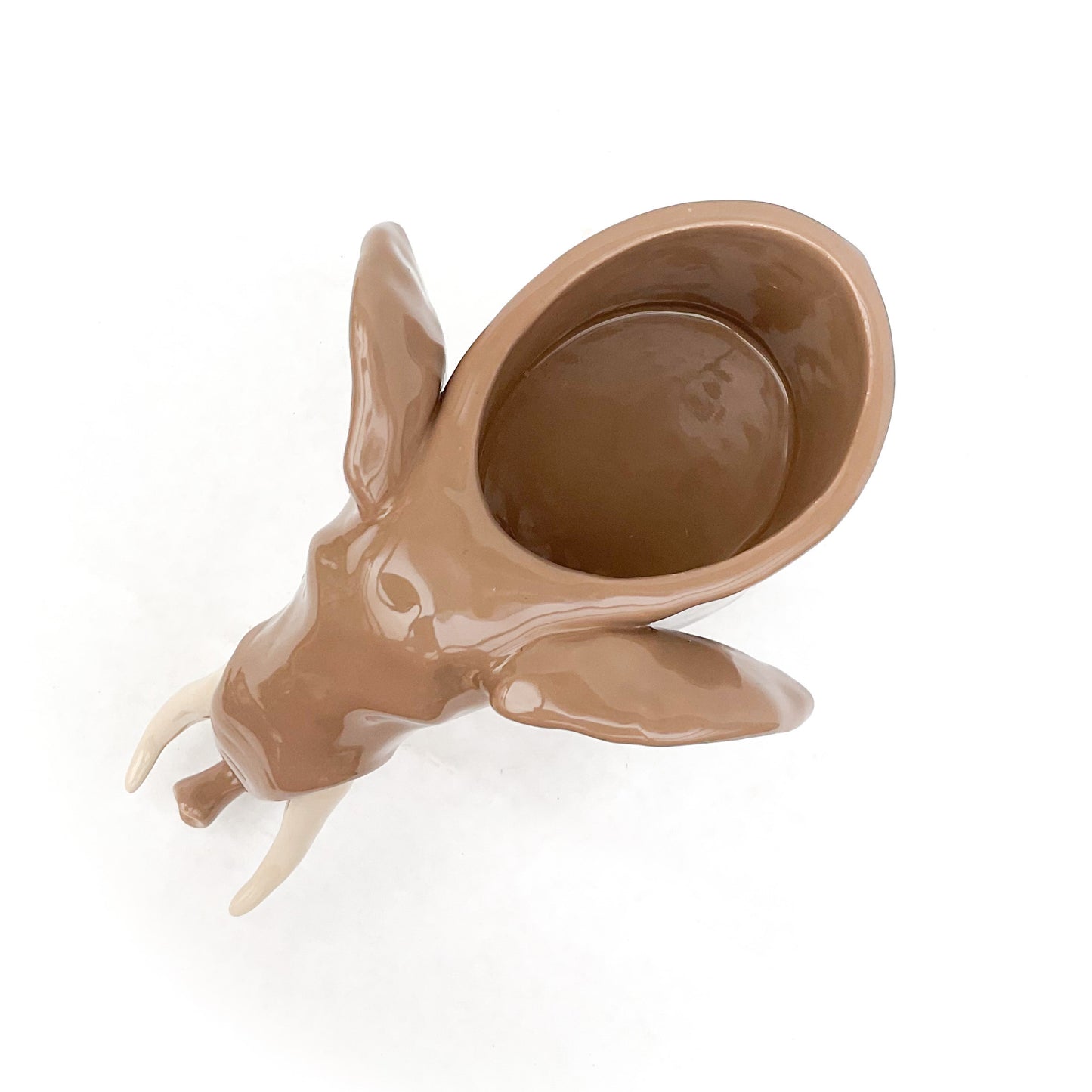 African Elephant Planter - Elephant Succulent Pot