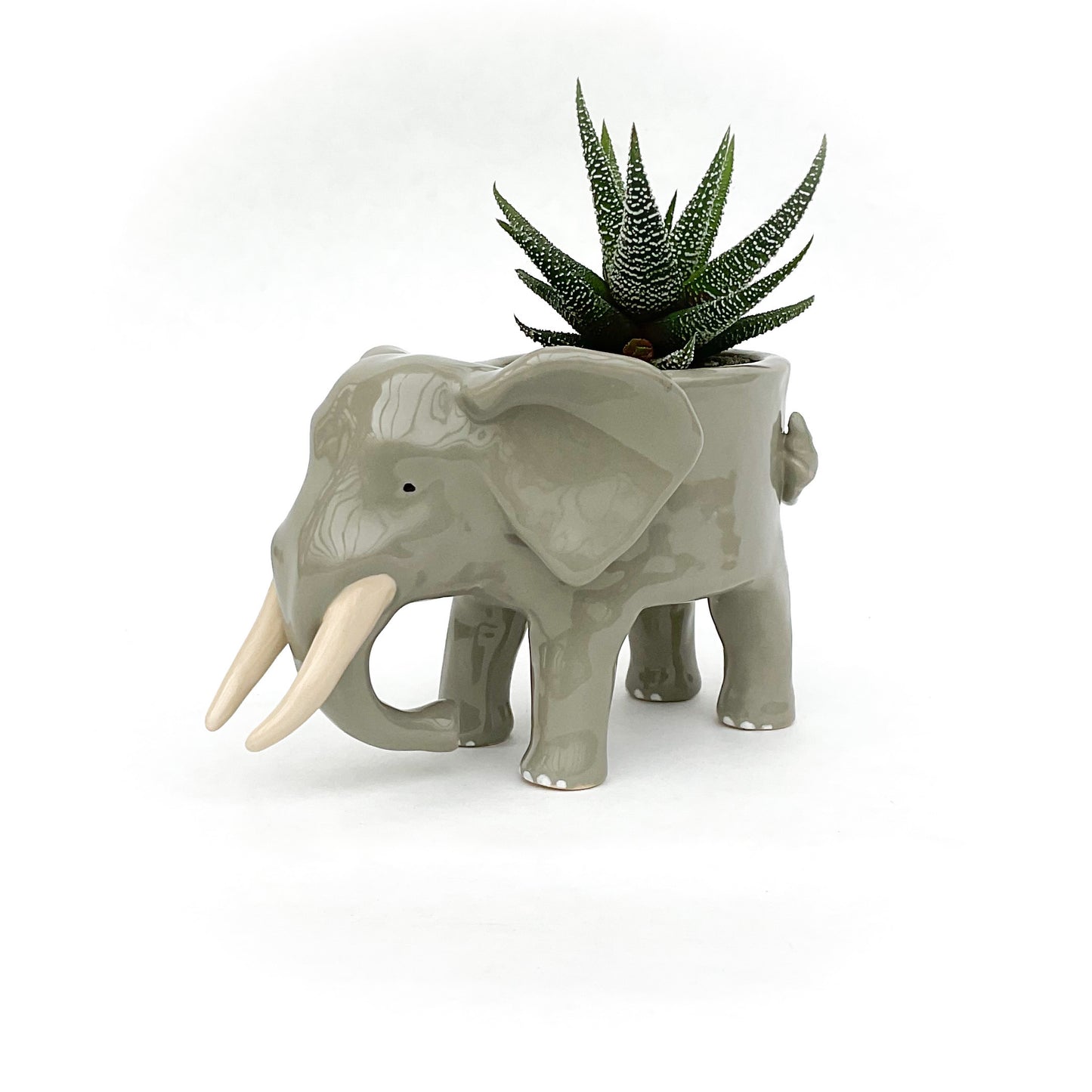 African Elephant Planter - Elephant Succulent Pot