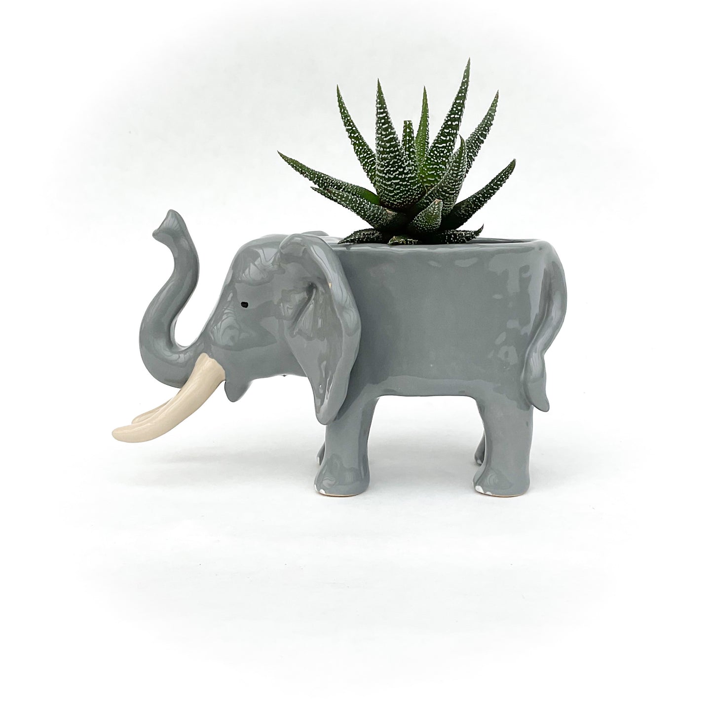 African Elephant Planter - Elephant Succulent Pot