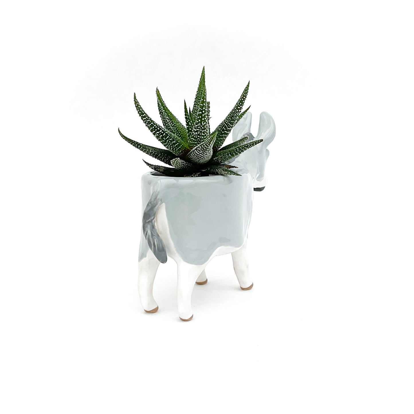 Miniature Mediterranean Donkey Planter