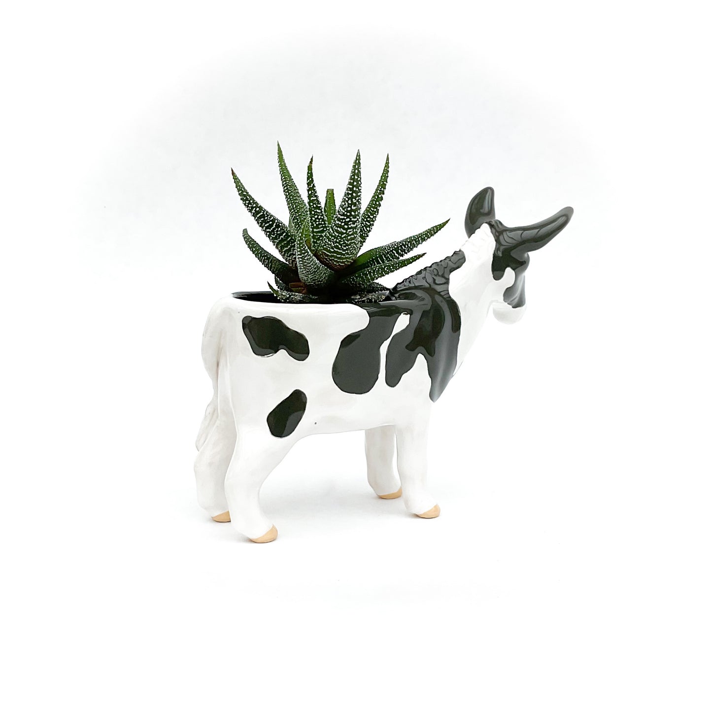 American Mammoth Jackstock Donkey Pot