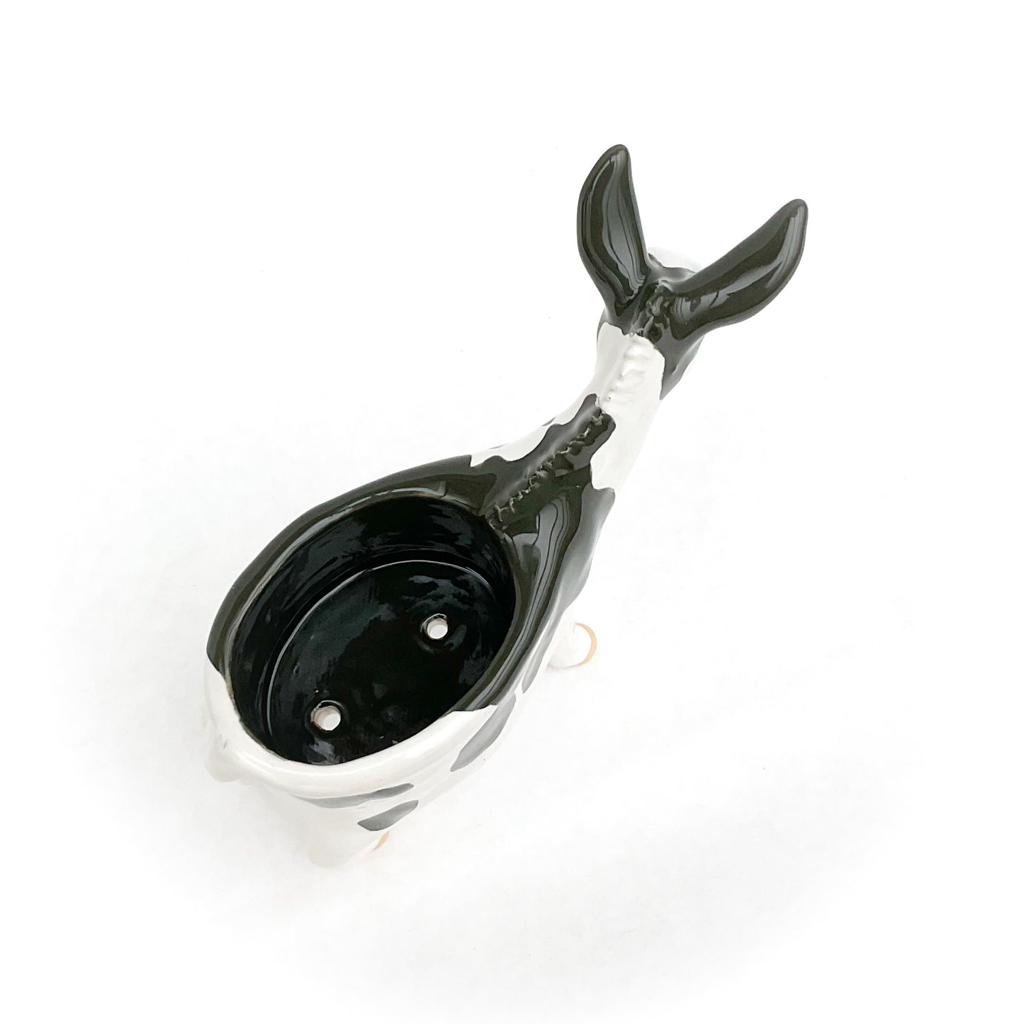 American Mammoth Jackstock Donkey Pot
