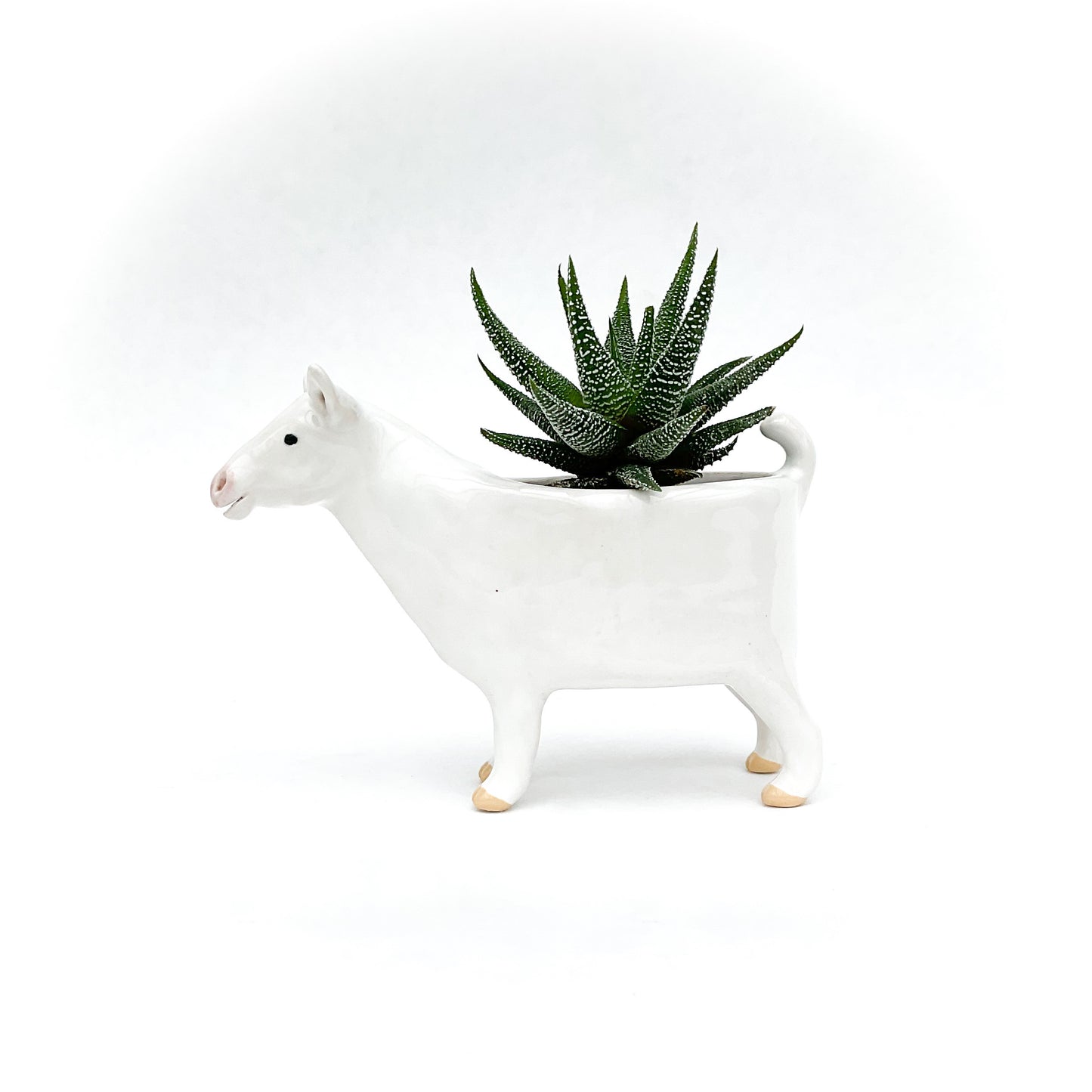 Saanen Goat Pot