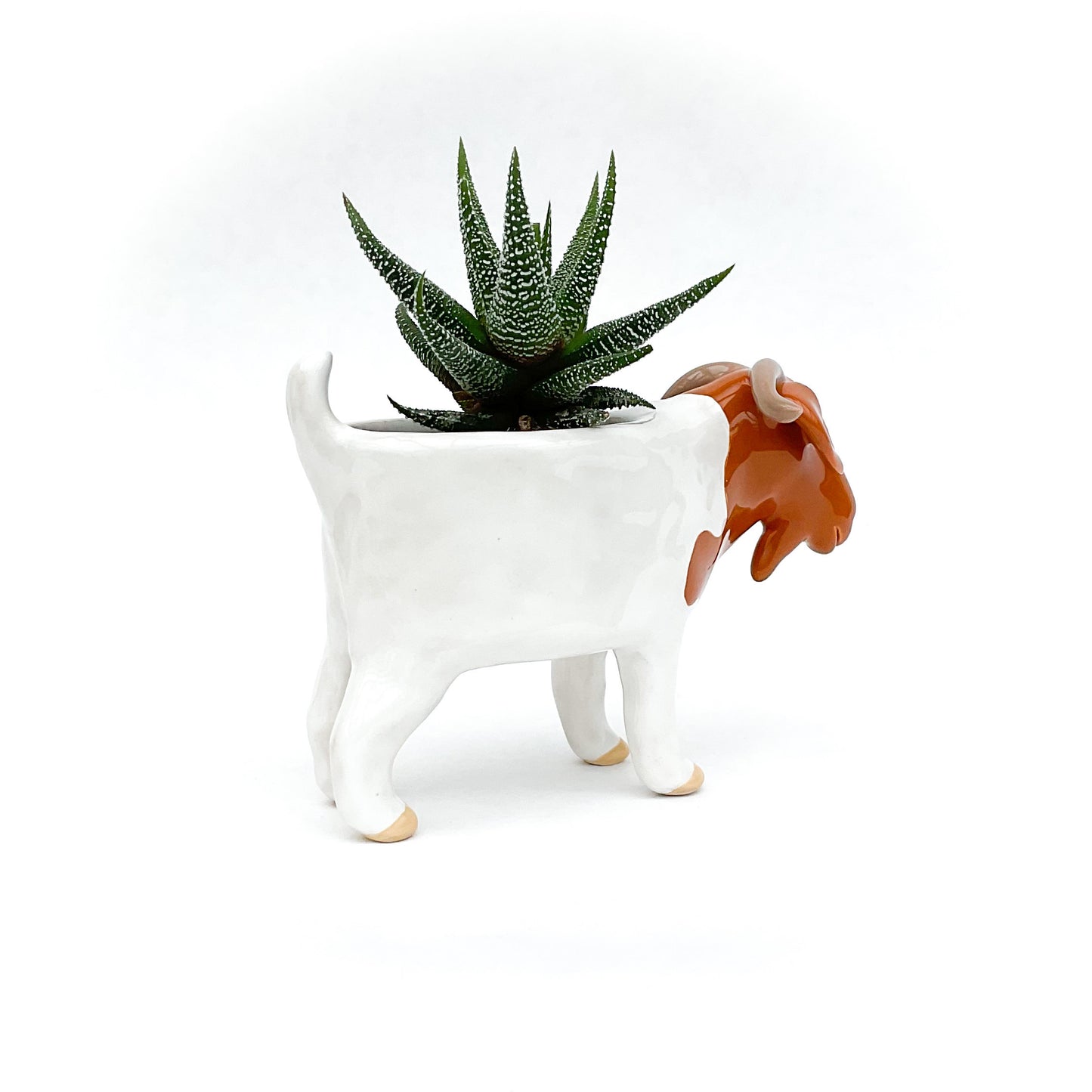 Australian Boer Goat Pot