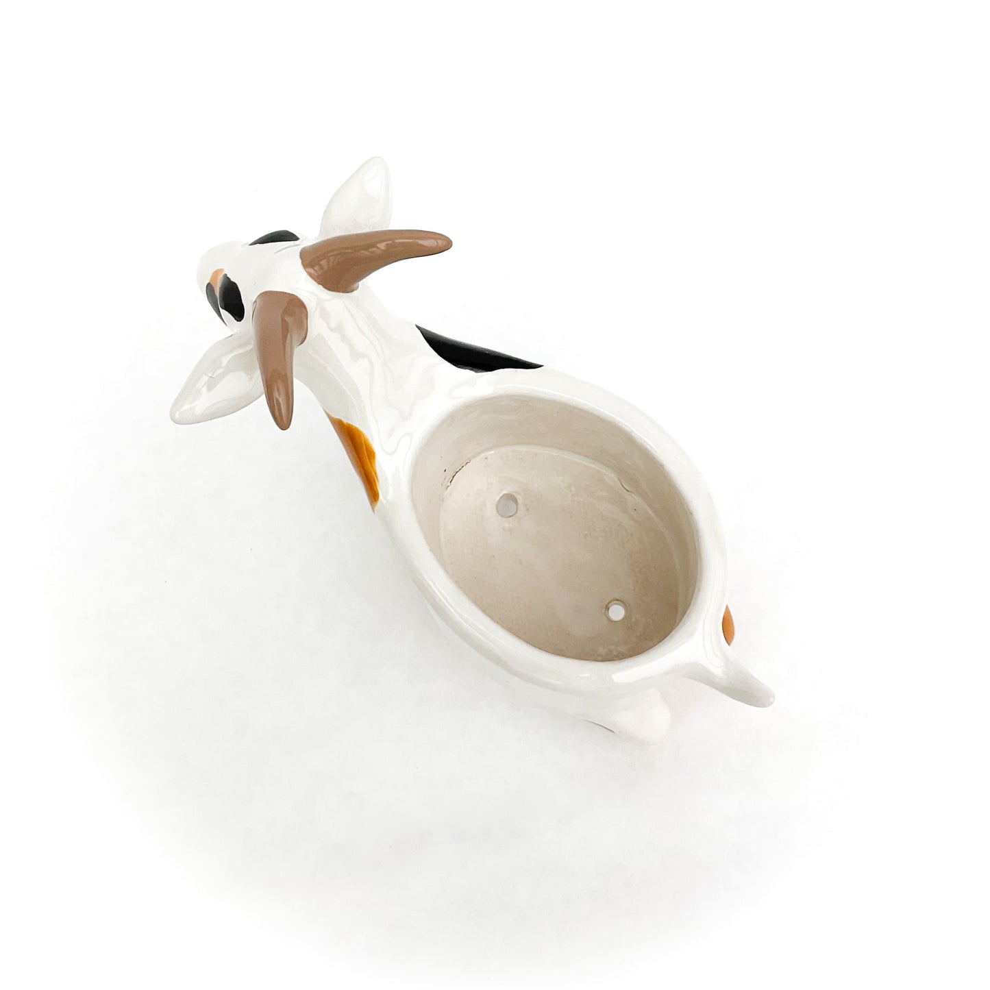 Black and Brown Pygmy Goat Pot