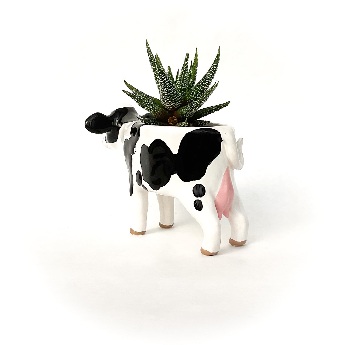 Holstein Friesian Cow Pot