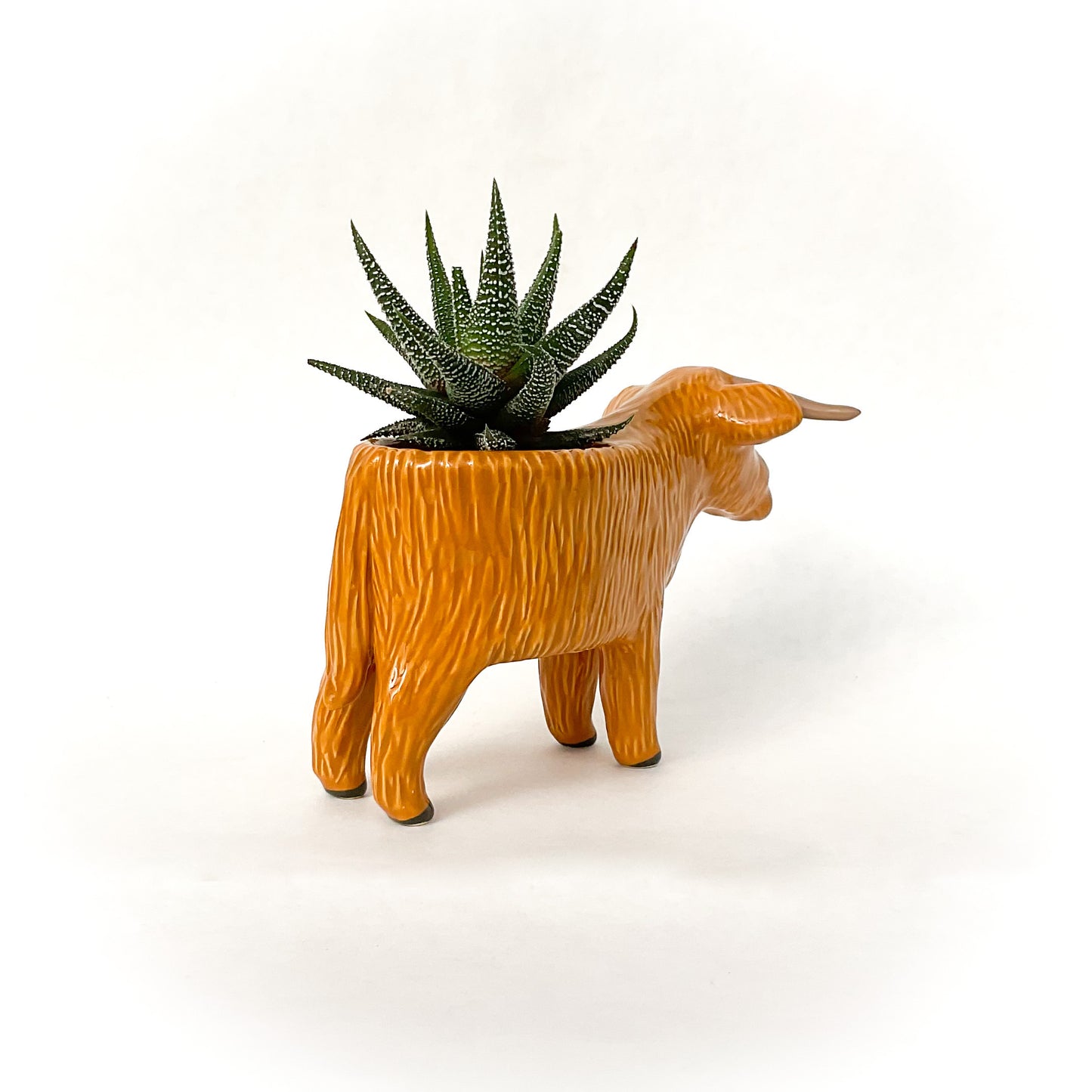 Highland Cow Planter