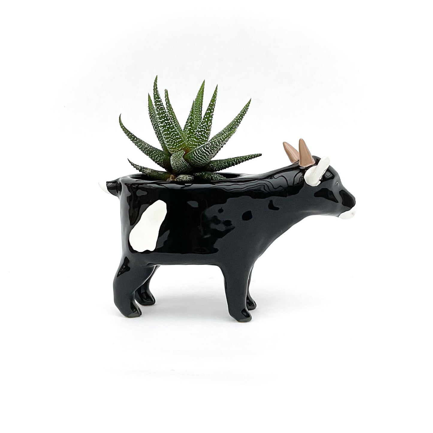Black and White Pygmy Goat Pot