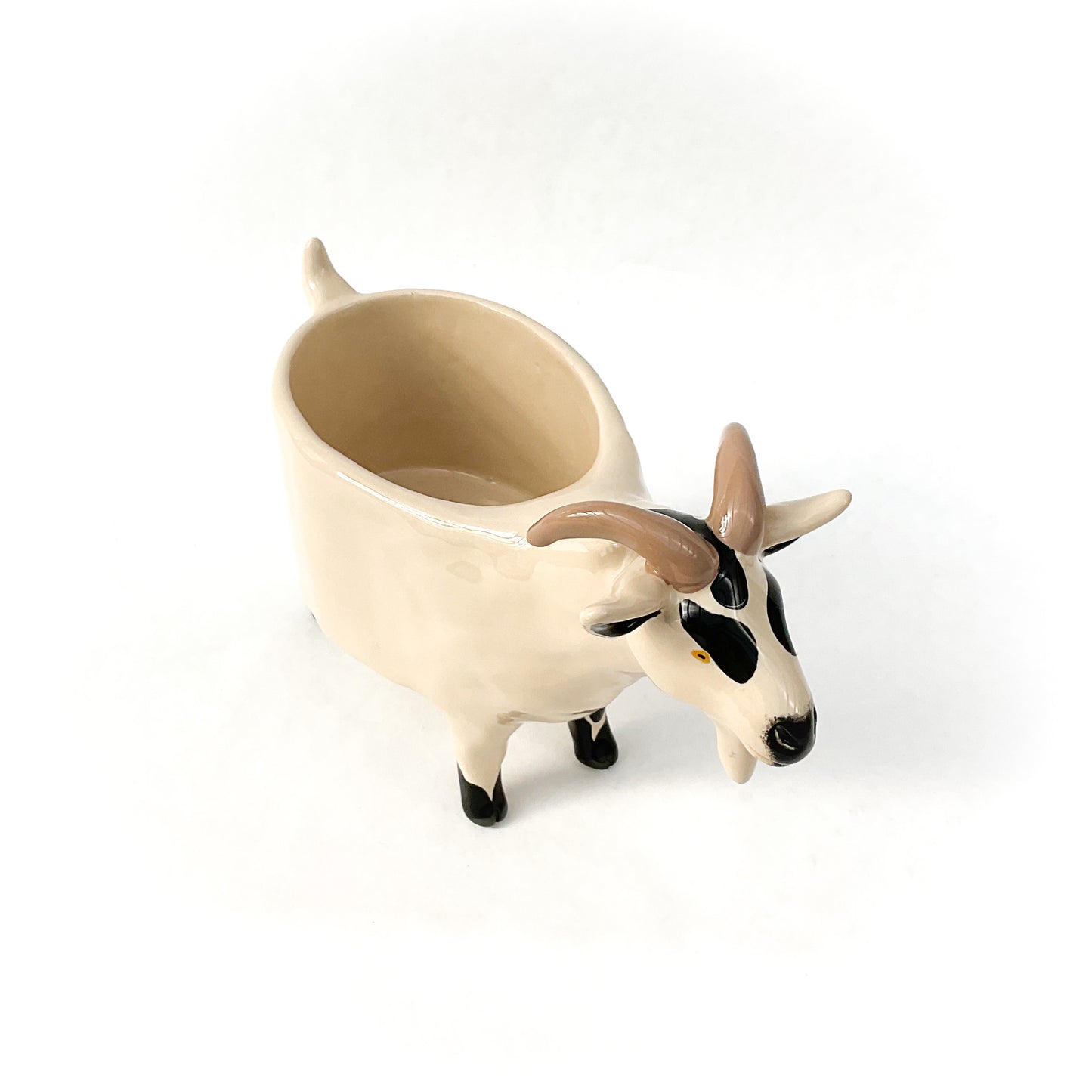 Black & Tan Pygmy Goat Pot