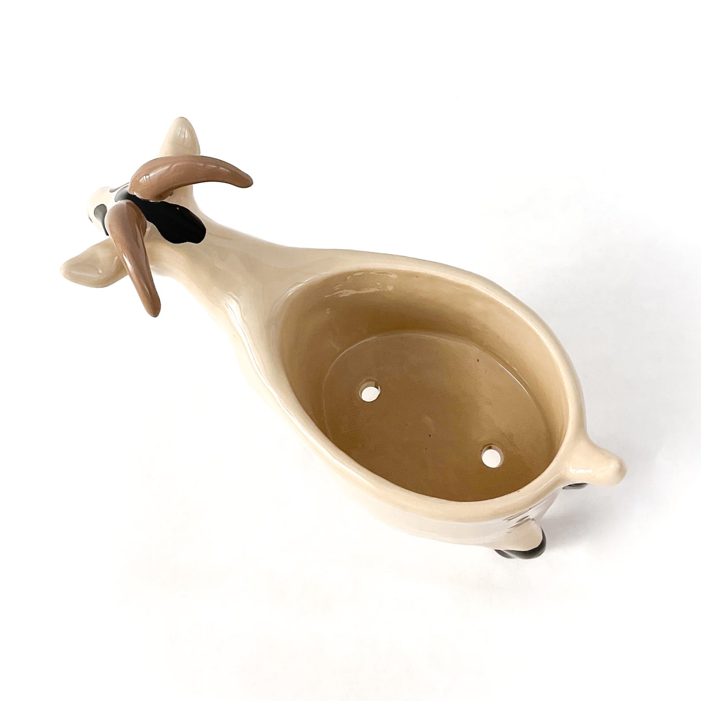 Black & Tan Pygmy Goat Pot