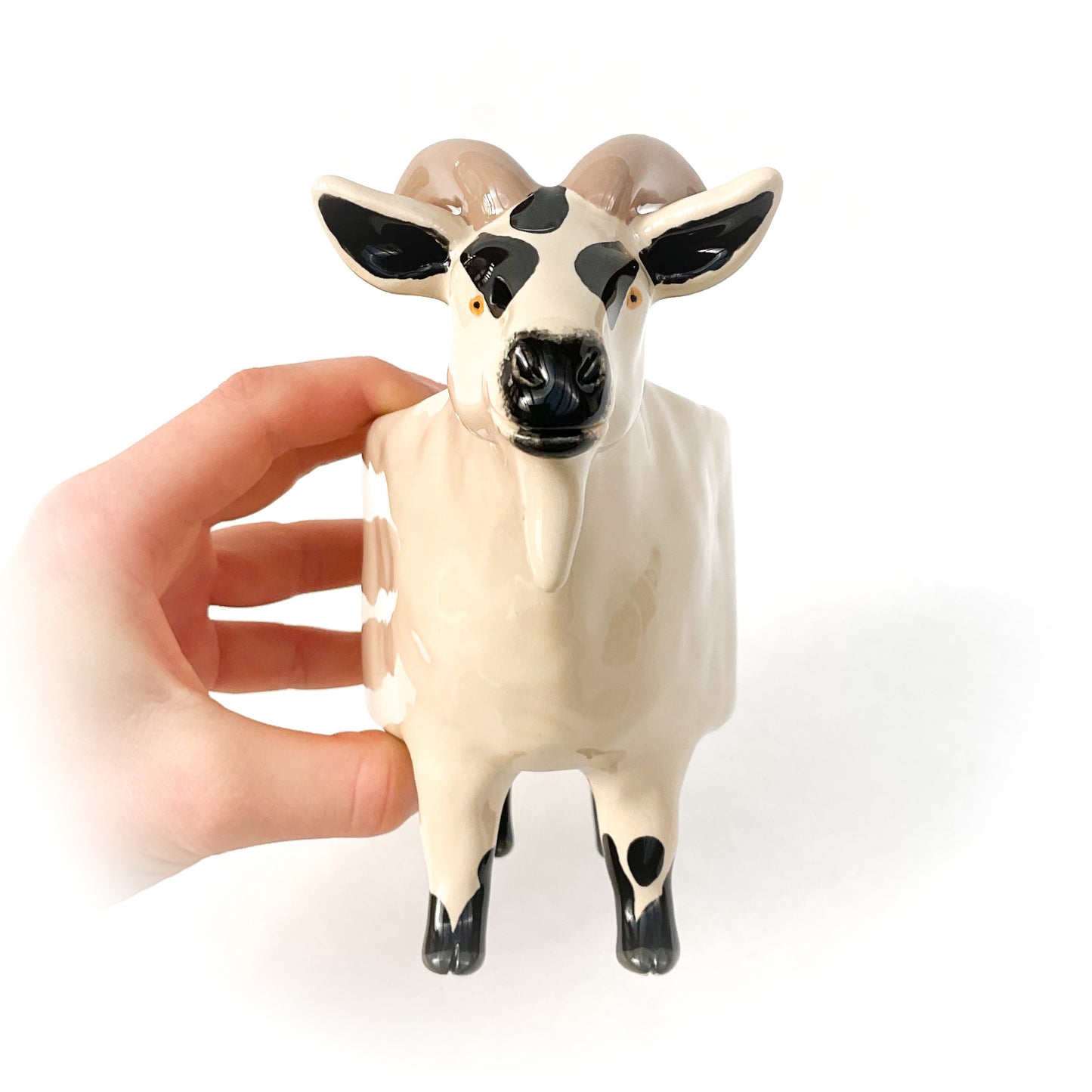 Black & Tan Pygmy Goat Pot