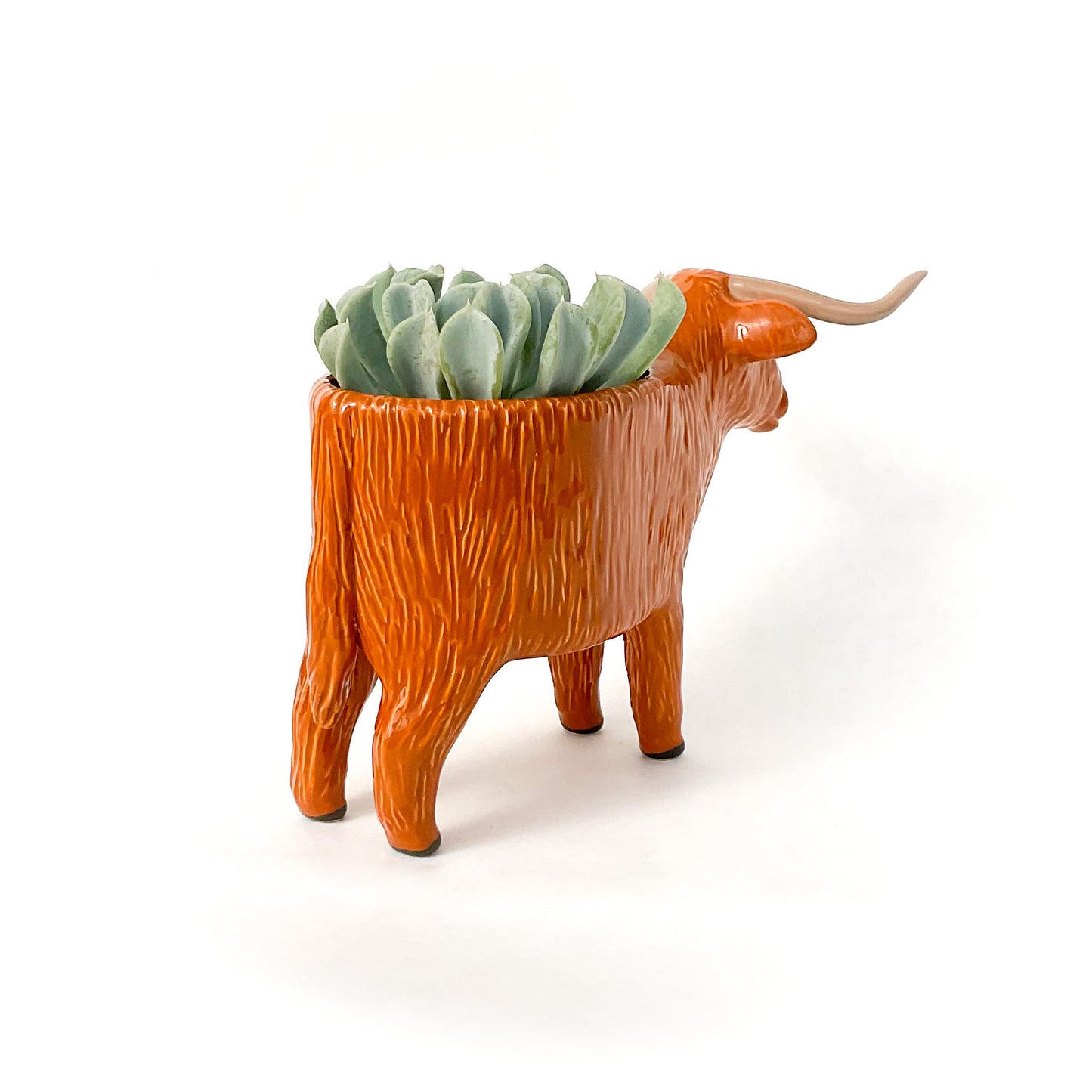 Highland Cow Pot