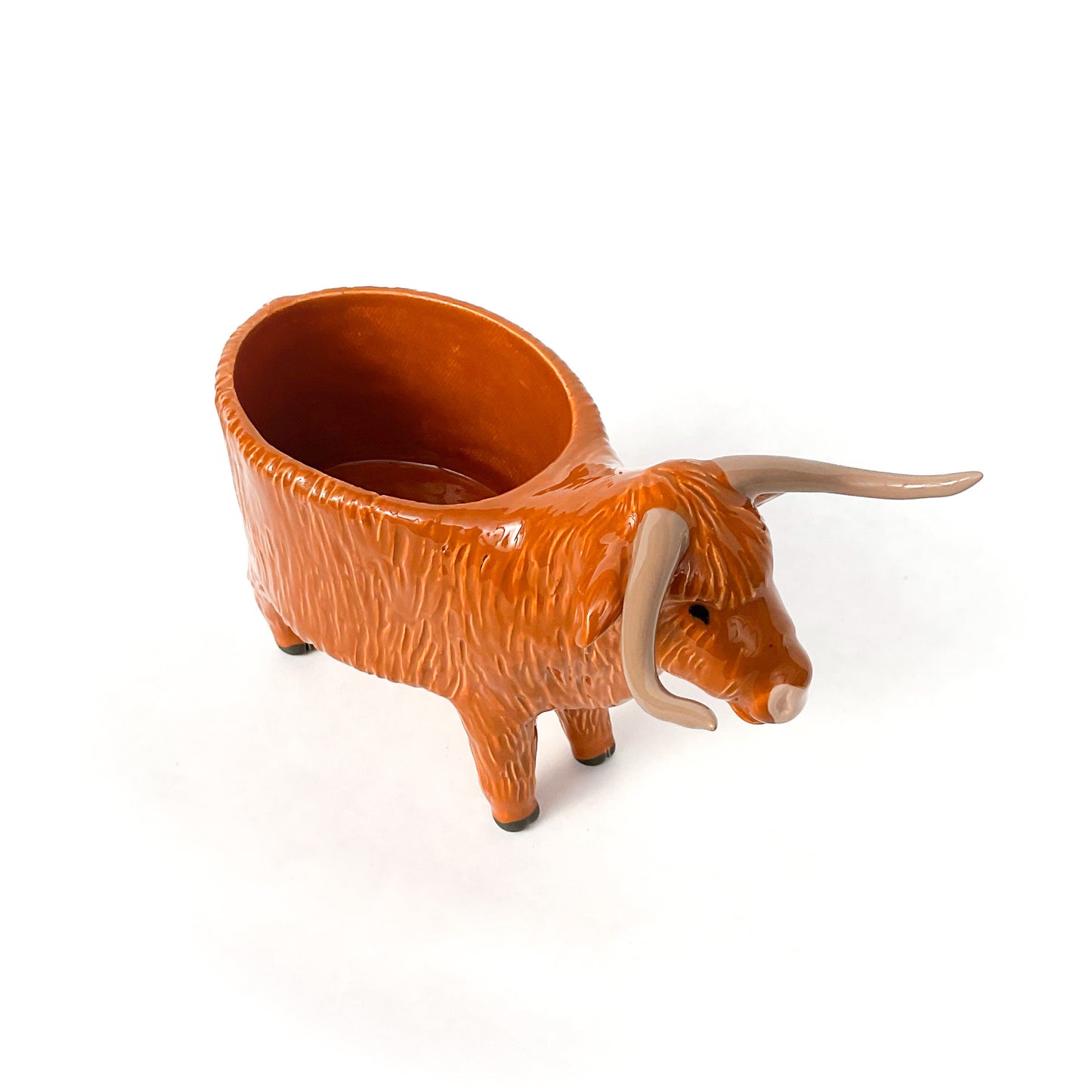 Highland Cow Pot