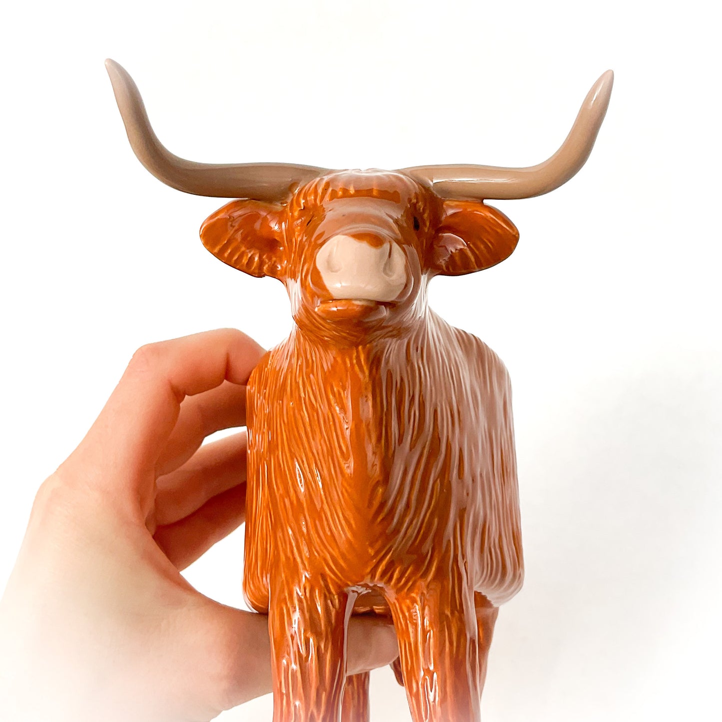 Highland Cow Pot