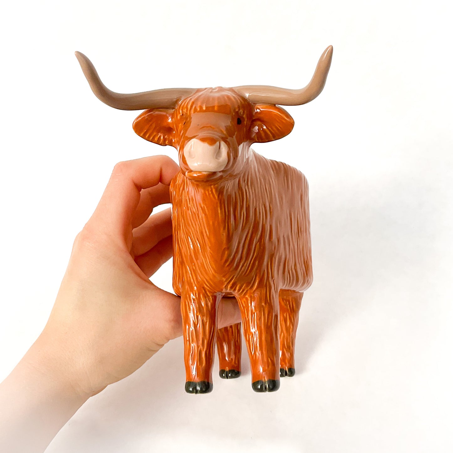 Highland Cow Pot