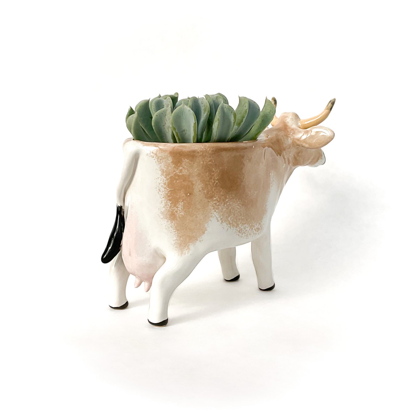 Brown Swiss Cow Pot