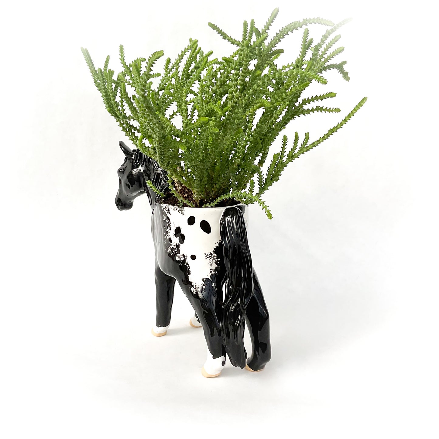 Appaloosa Horse Pot