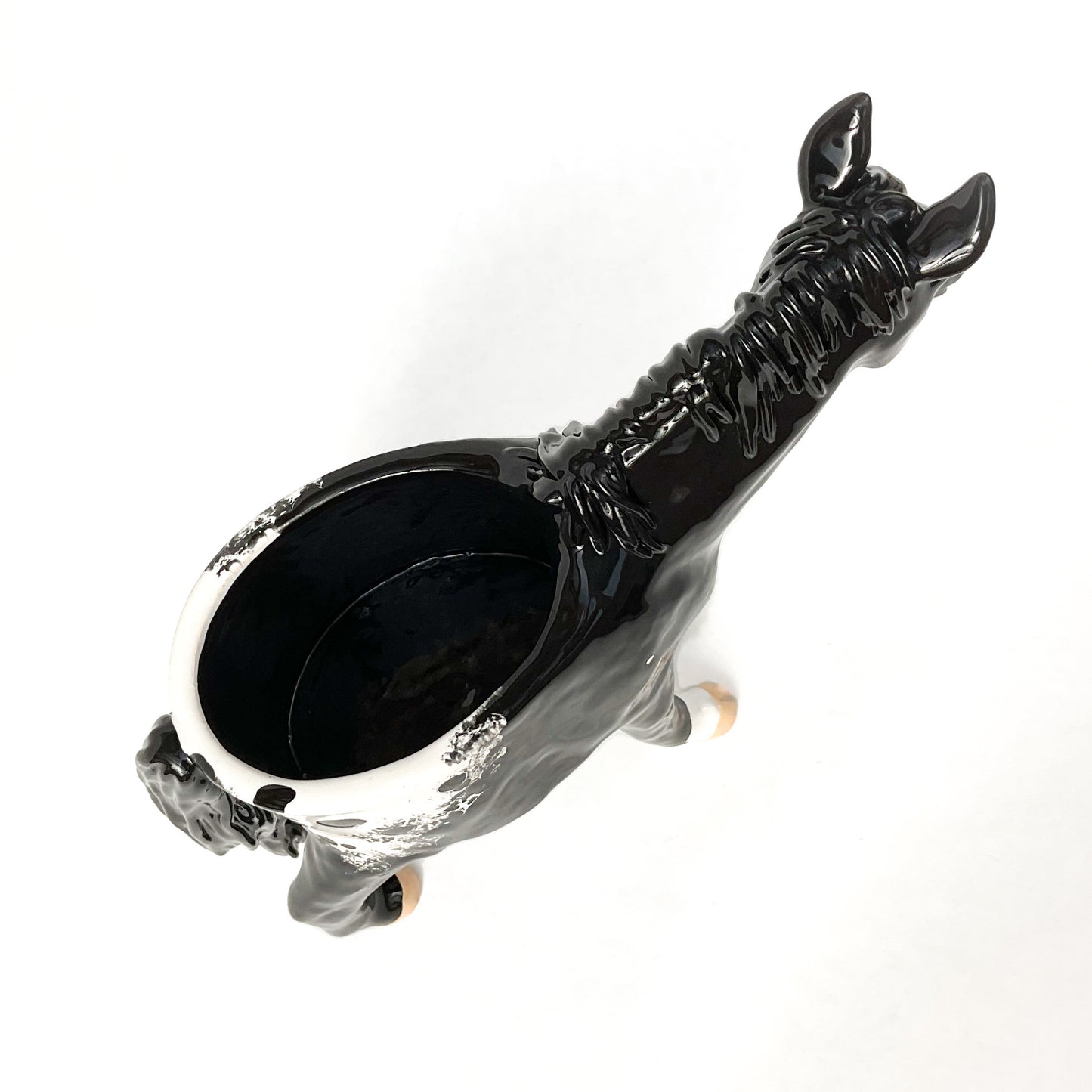 Appaloosa Horse Pot
