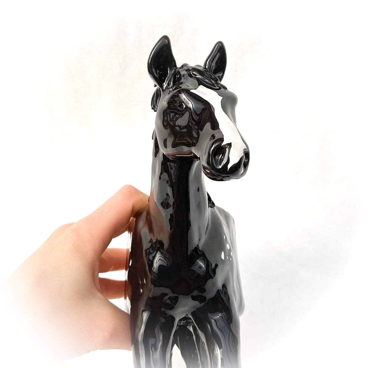 Appaloosa Horse Pot