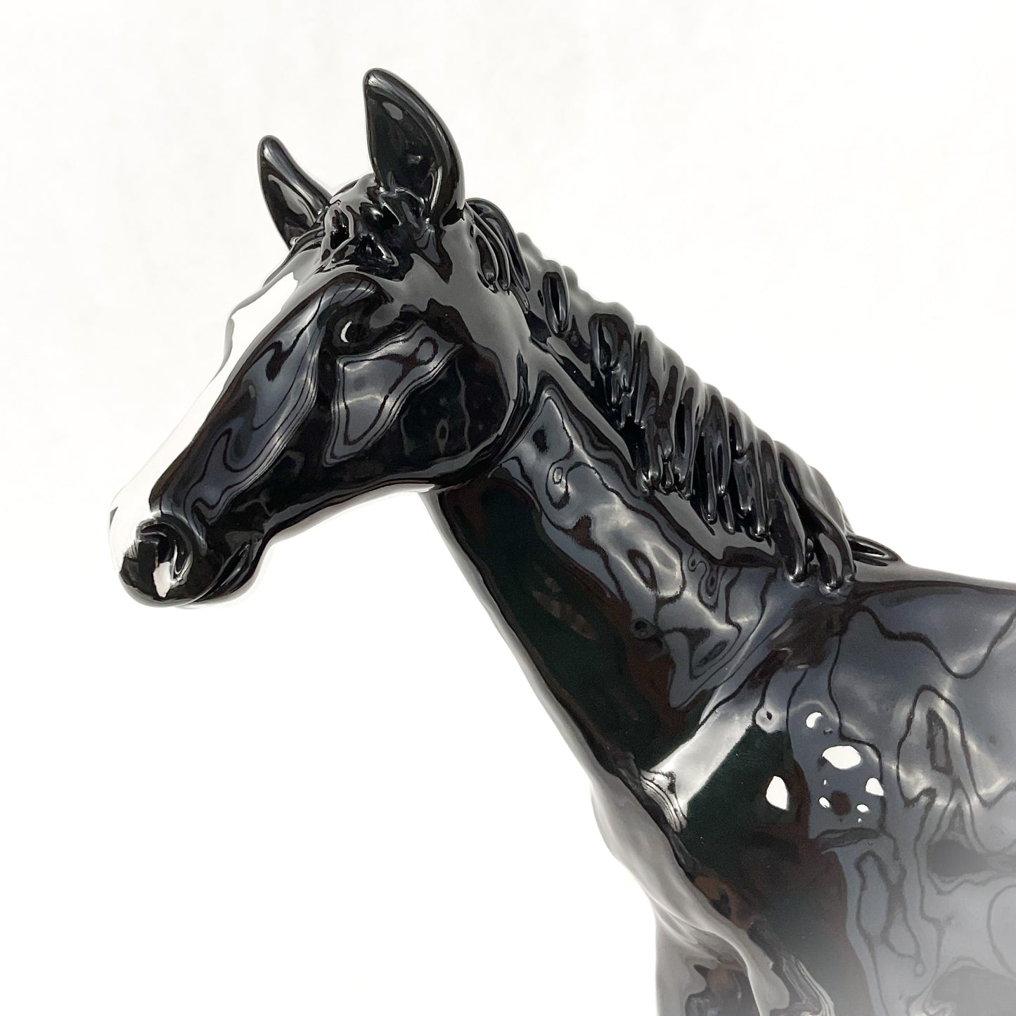Appaloosa Horse Pot