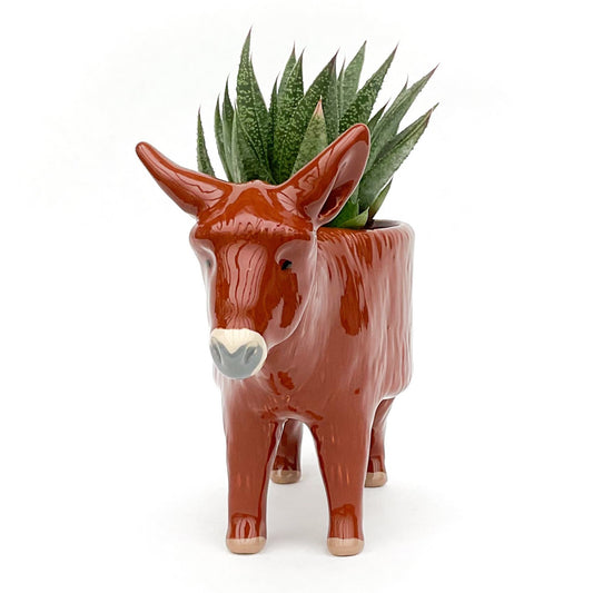 French Baudet du Poitou Donkey Pot