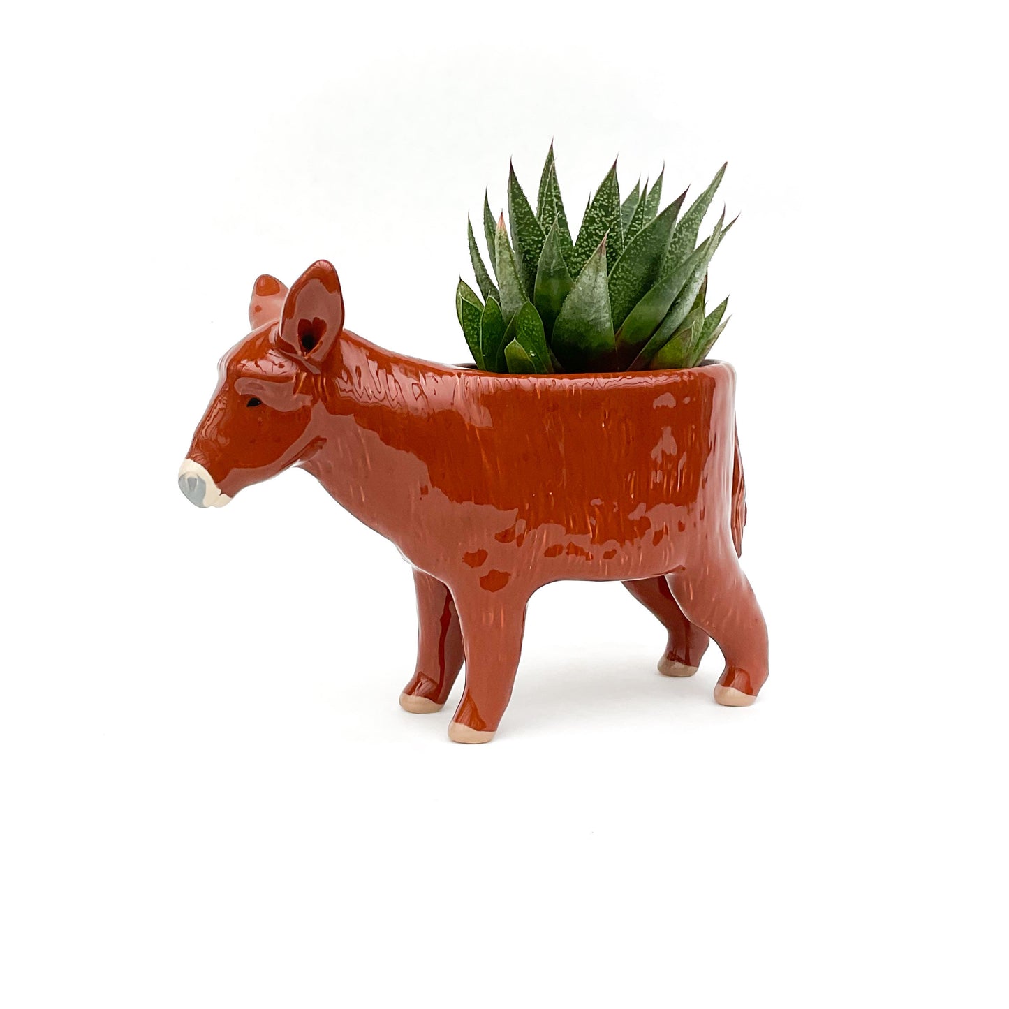 French Baudet du Poitou Donkey Pot