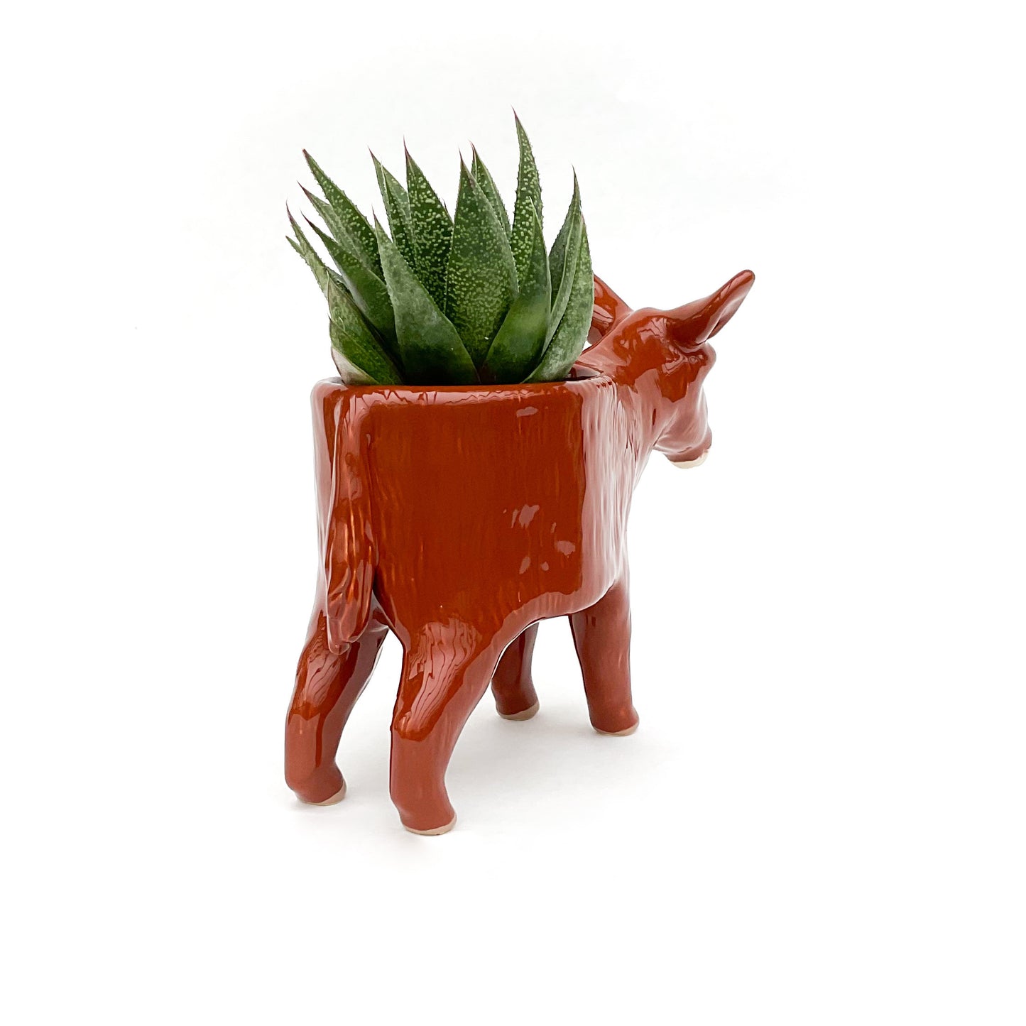 French Baudet du Poitou Donkey Pot