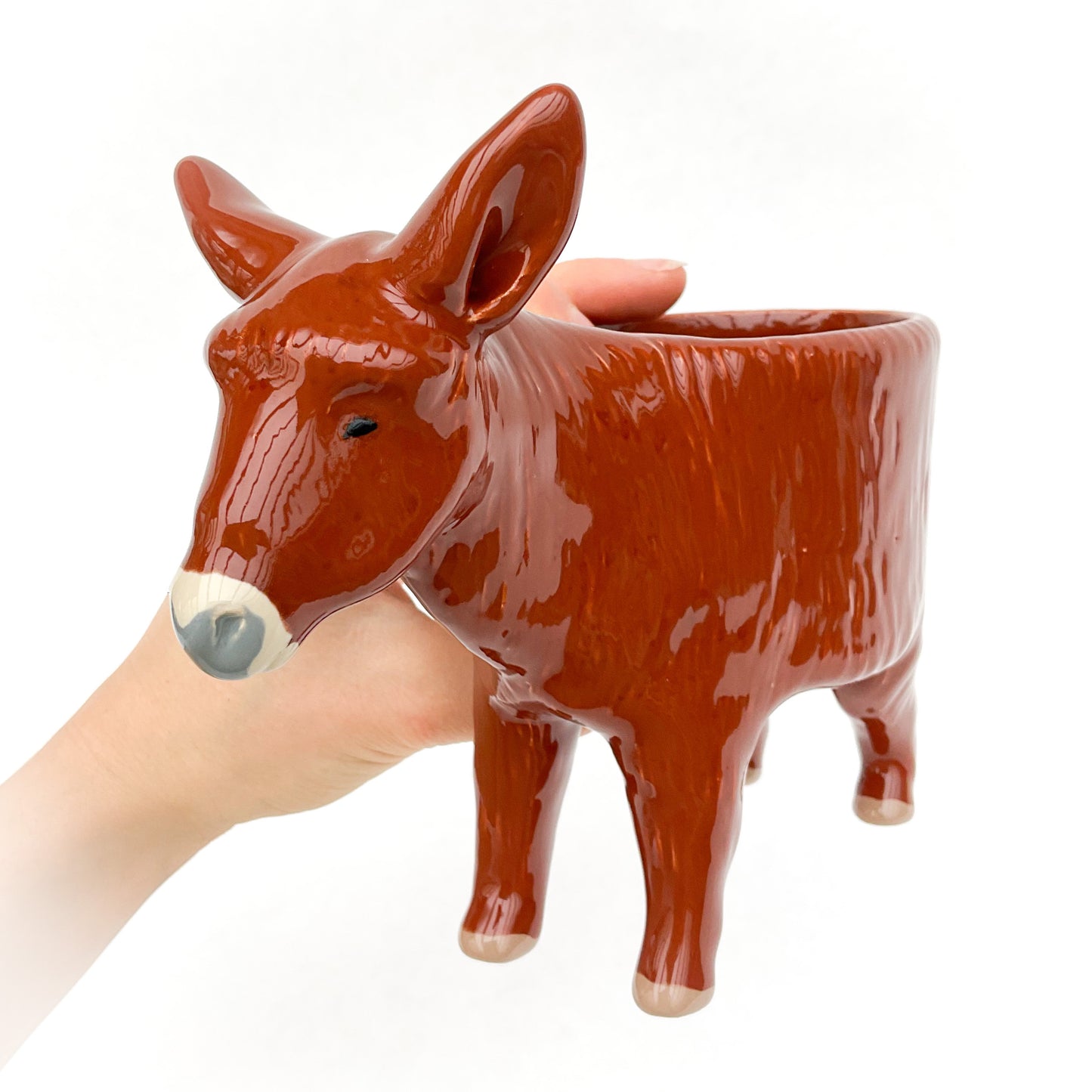 French Baudet du Poitou Donkey Pot