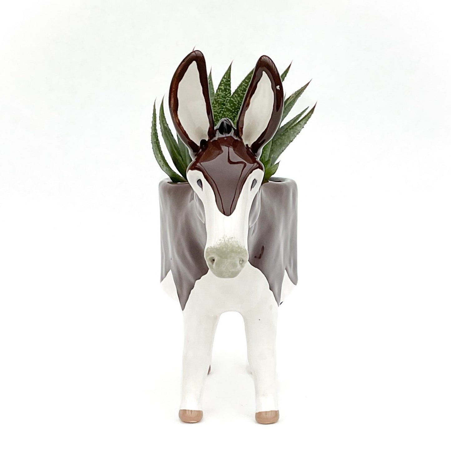 American Mammoth Jackstock Donkey Pot