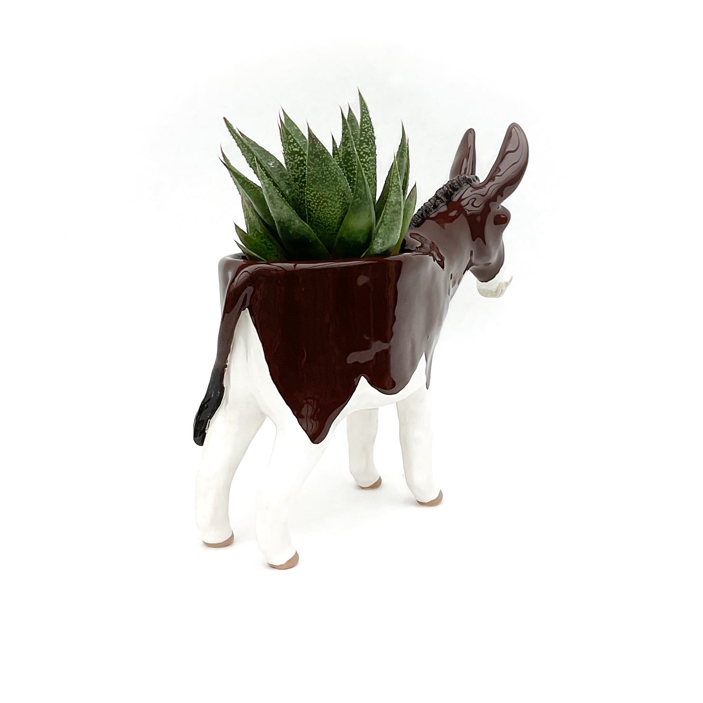 American Mammoth Jackstock Donkey Pot