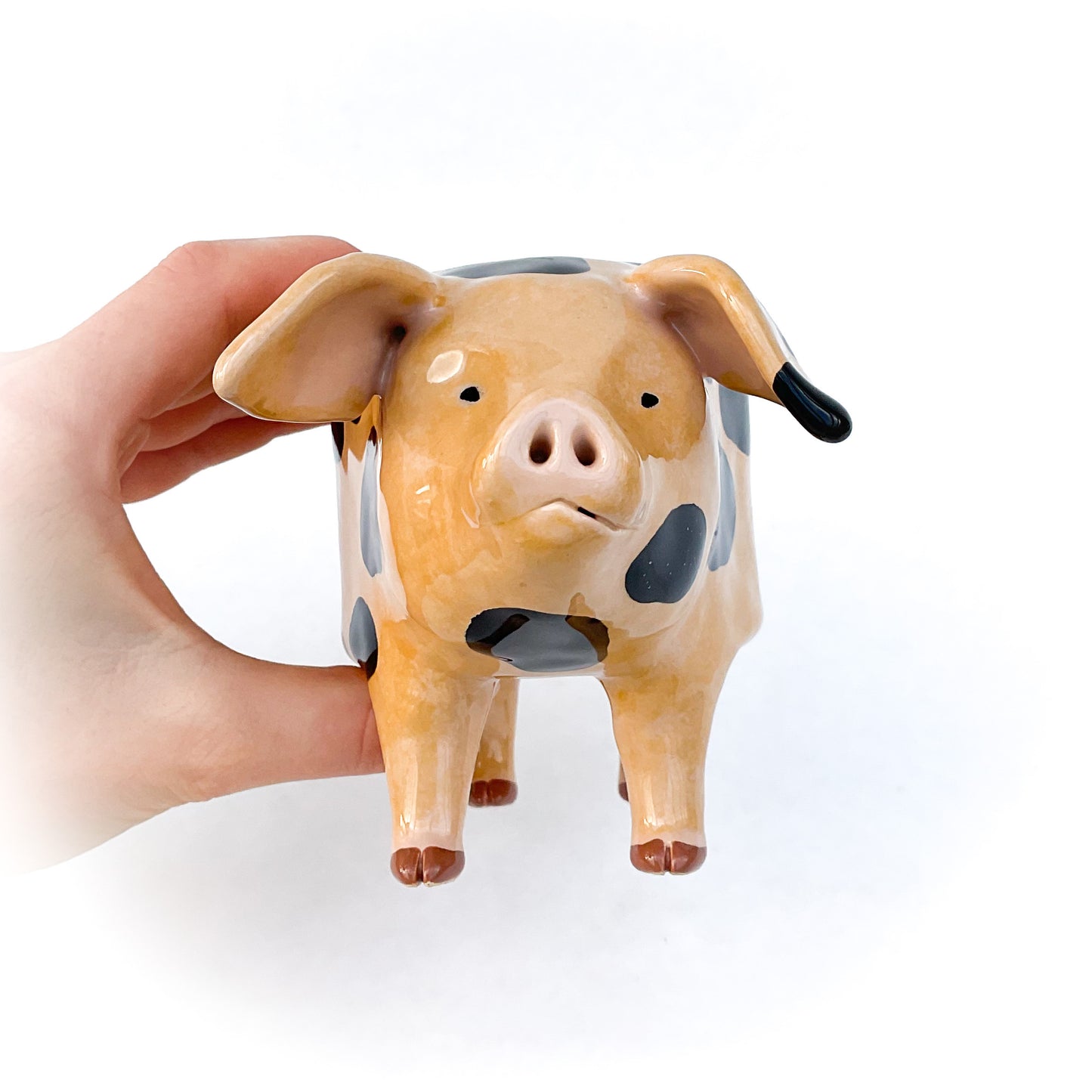 Gloucestershire Pig Pot