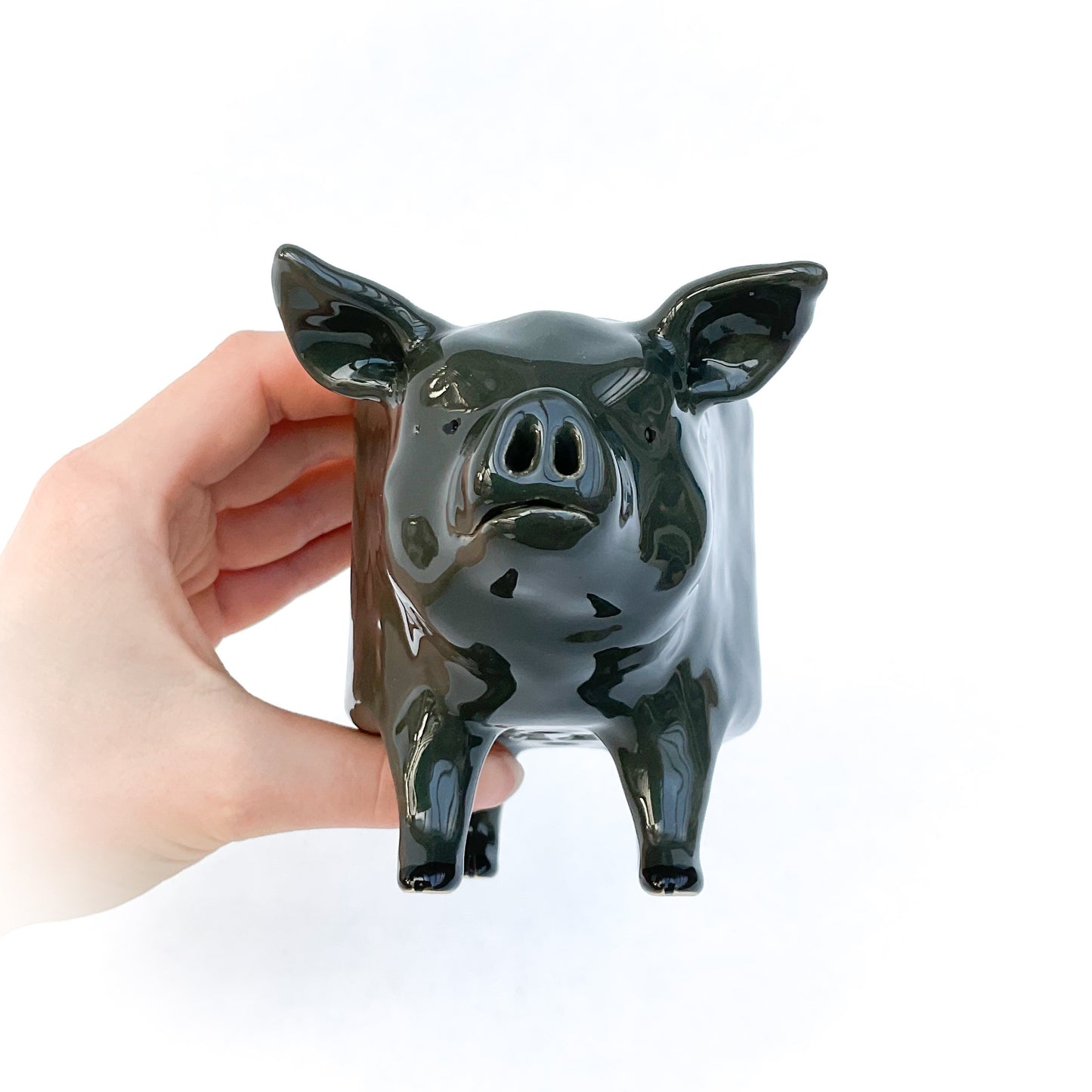 Vietnamese Pot-Bellied Pig Pot