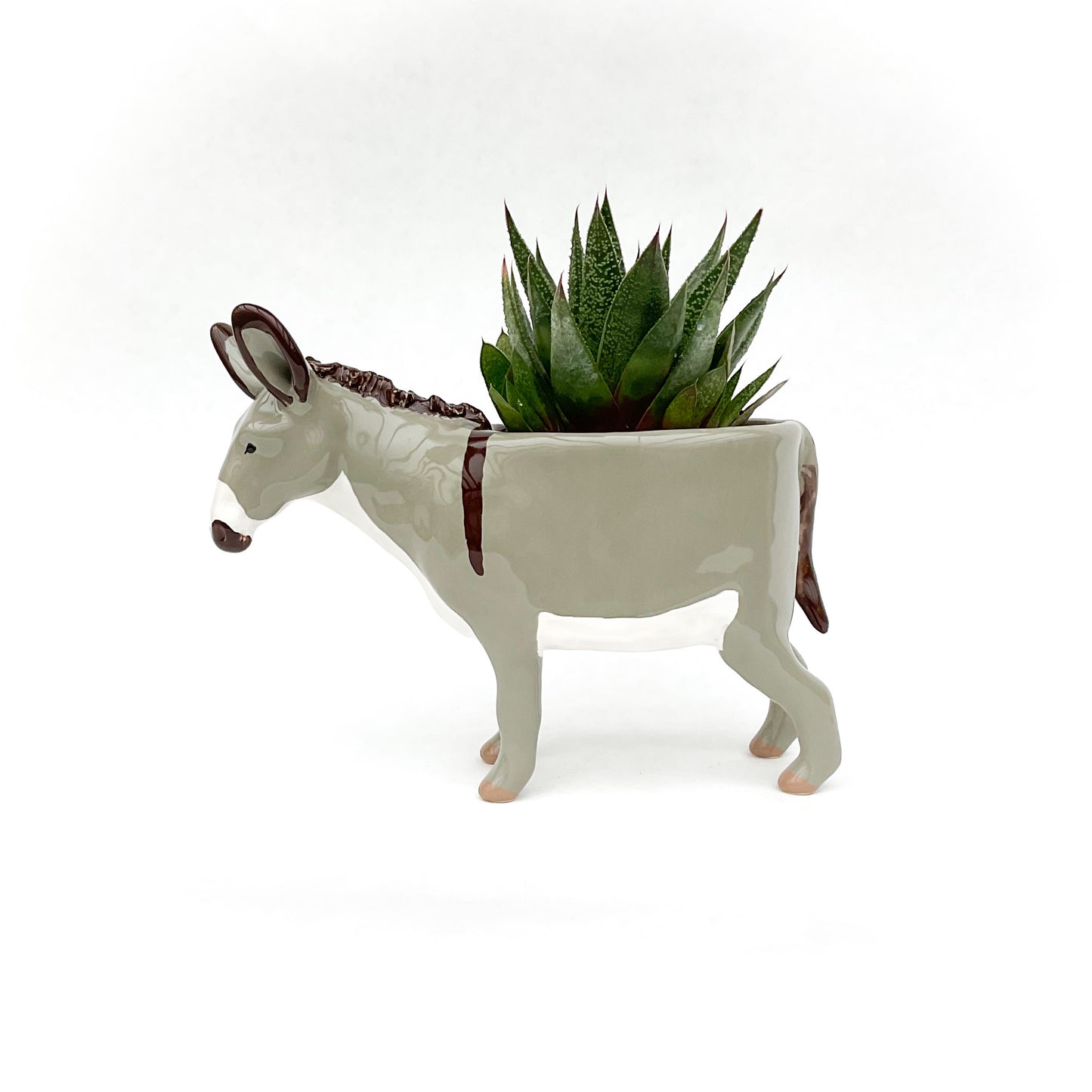 Miniature Mediterranean Donkey Pot