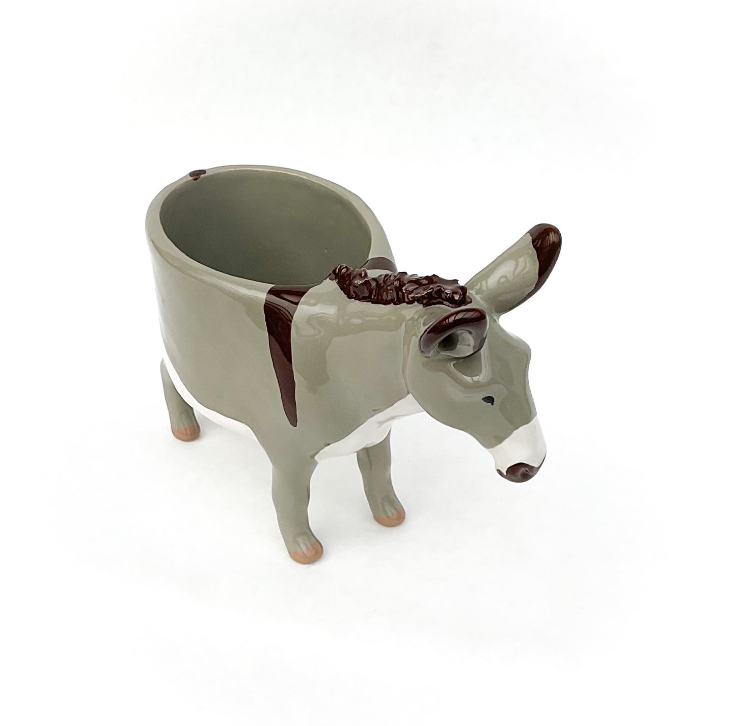 Miniature Mediterranean Donkey Pot