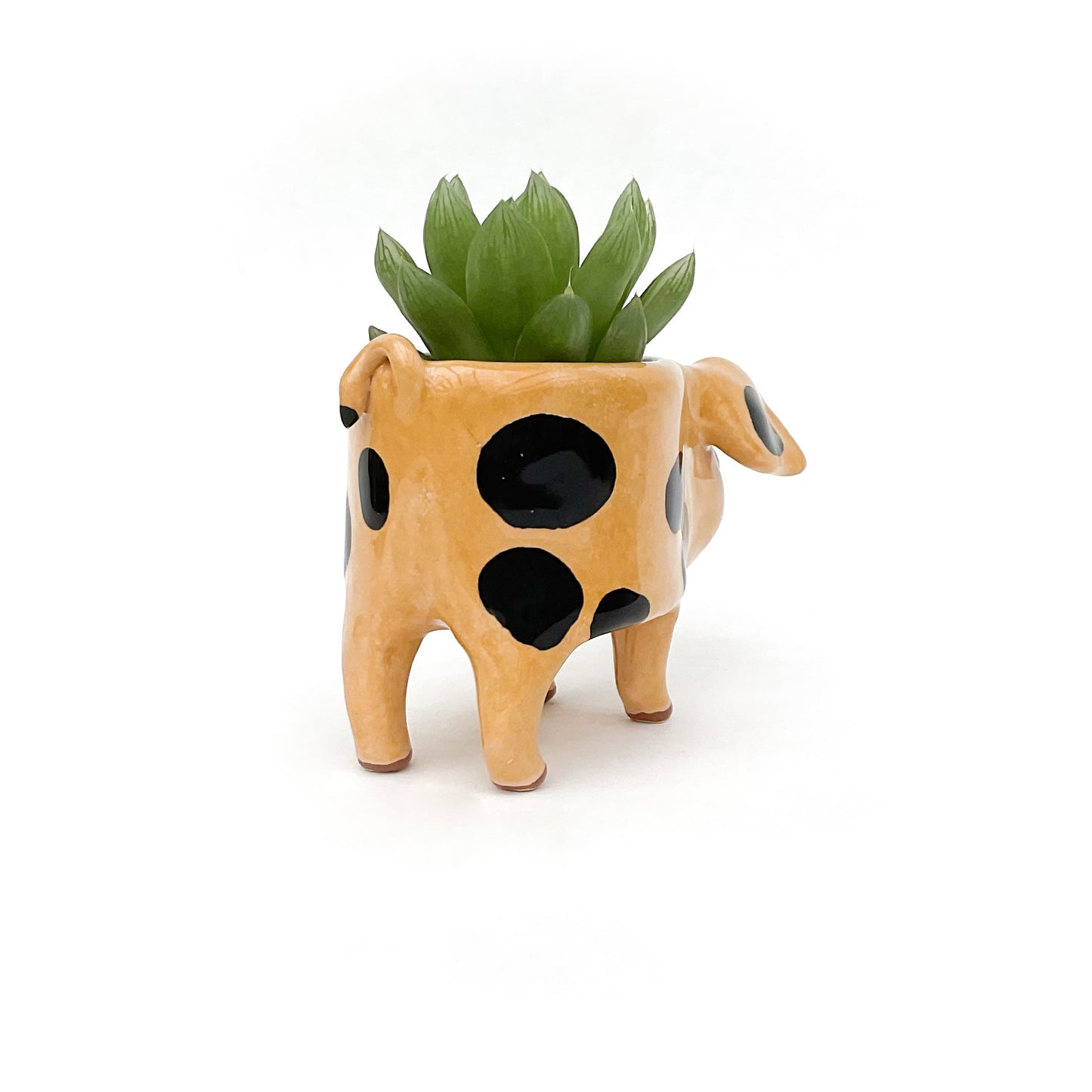 Gloucestershire Pig Pot
