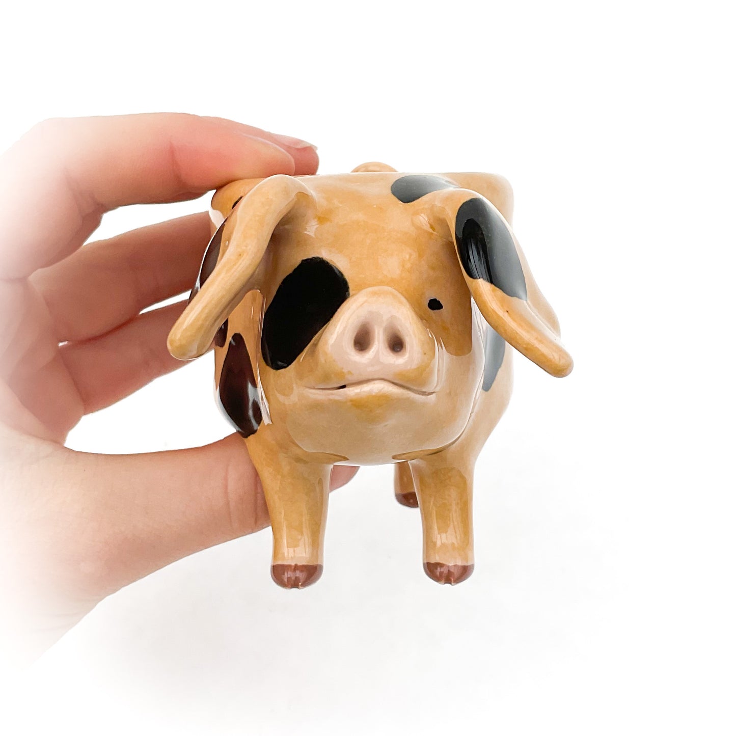 Gloucestershire Pig Pot