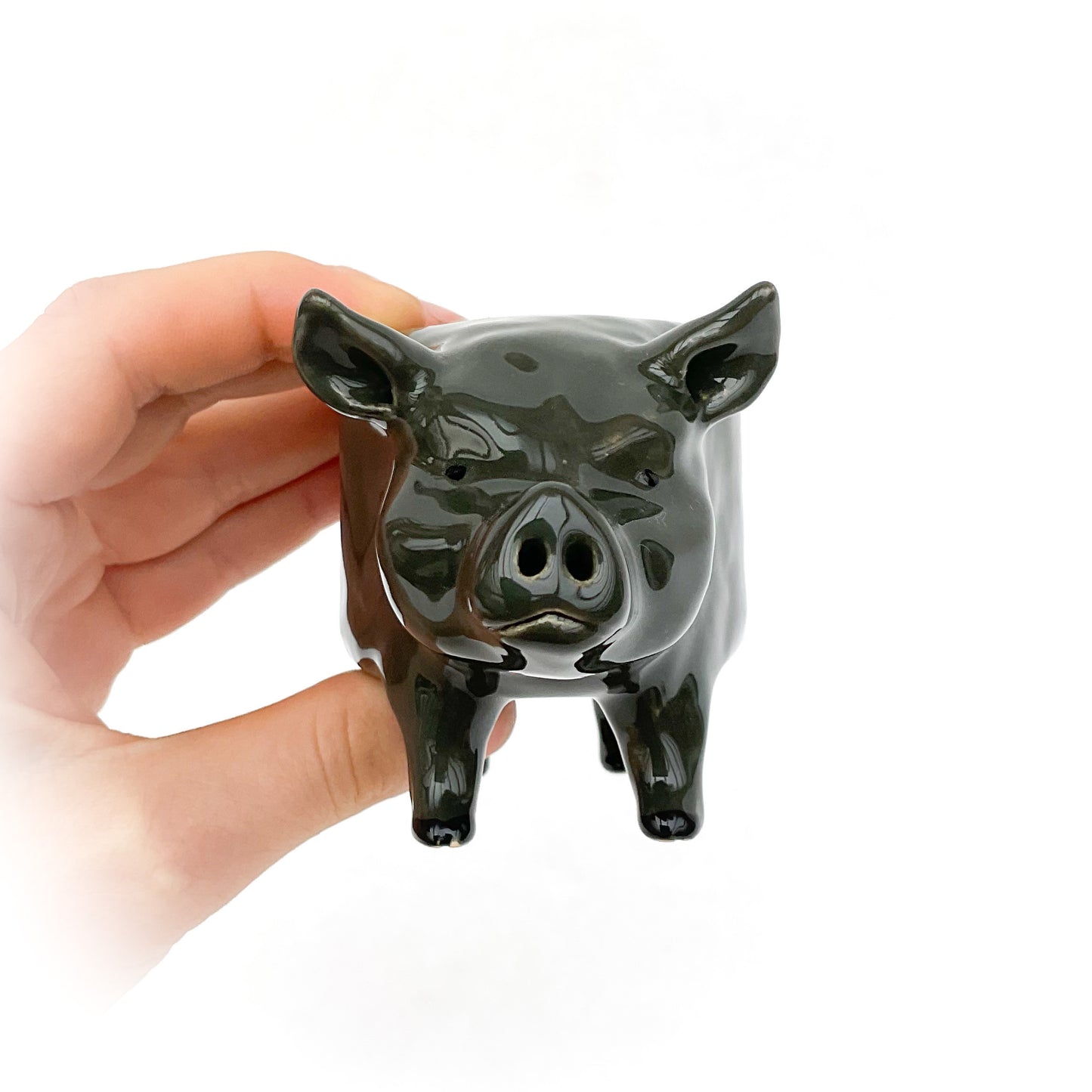 Vietnamese Pot-Bellied Pig Pot