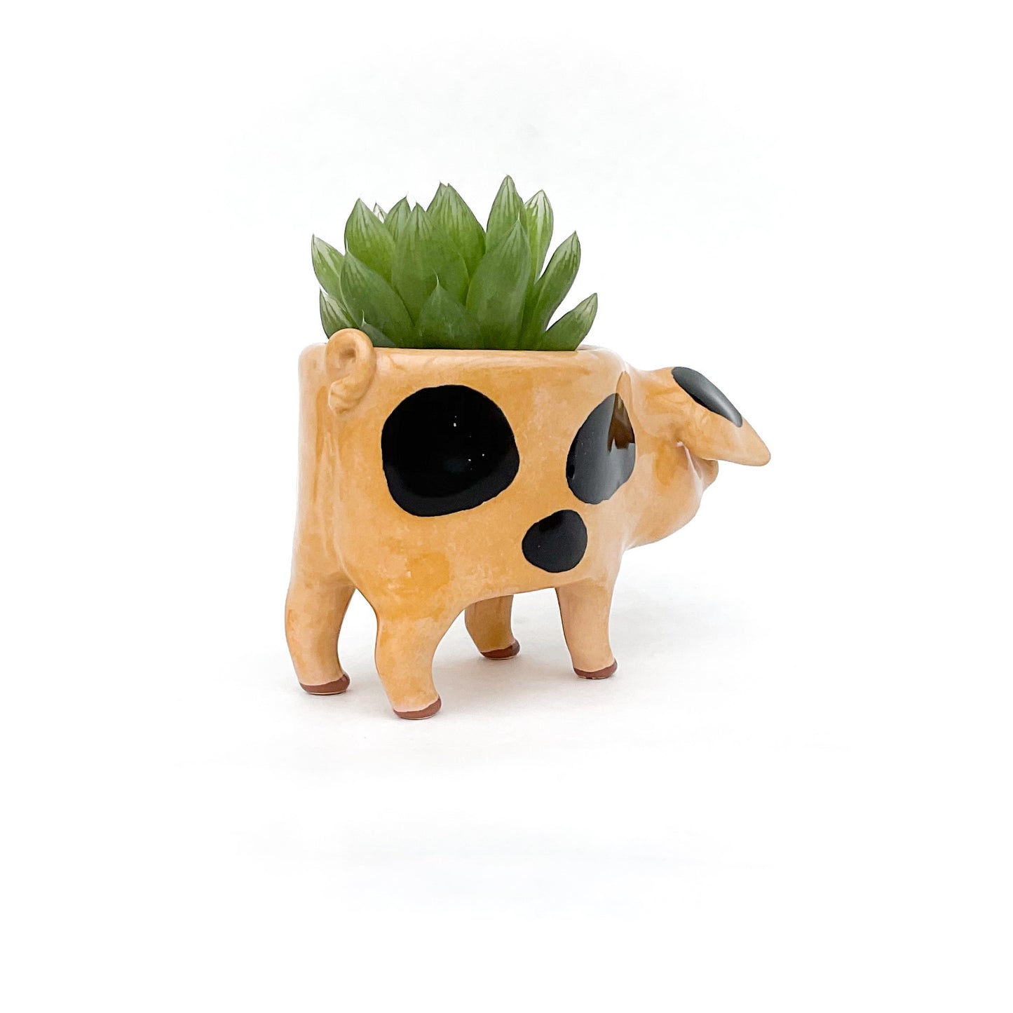 Gloucestershire Pig Pot