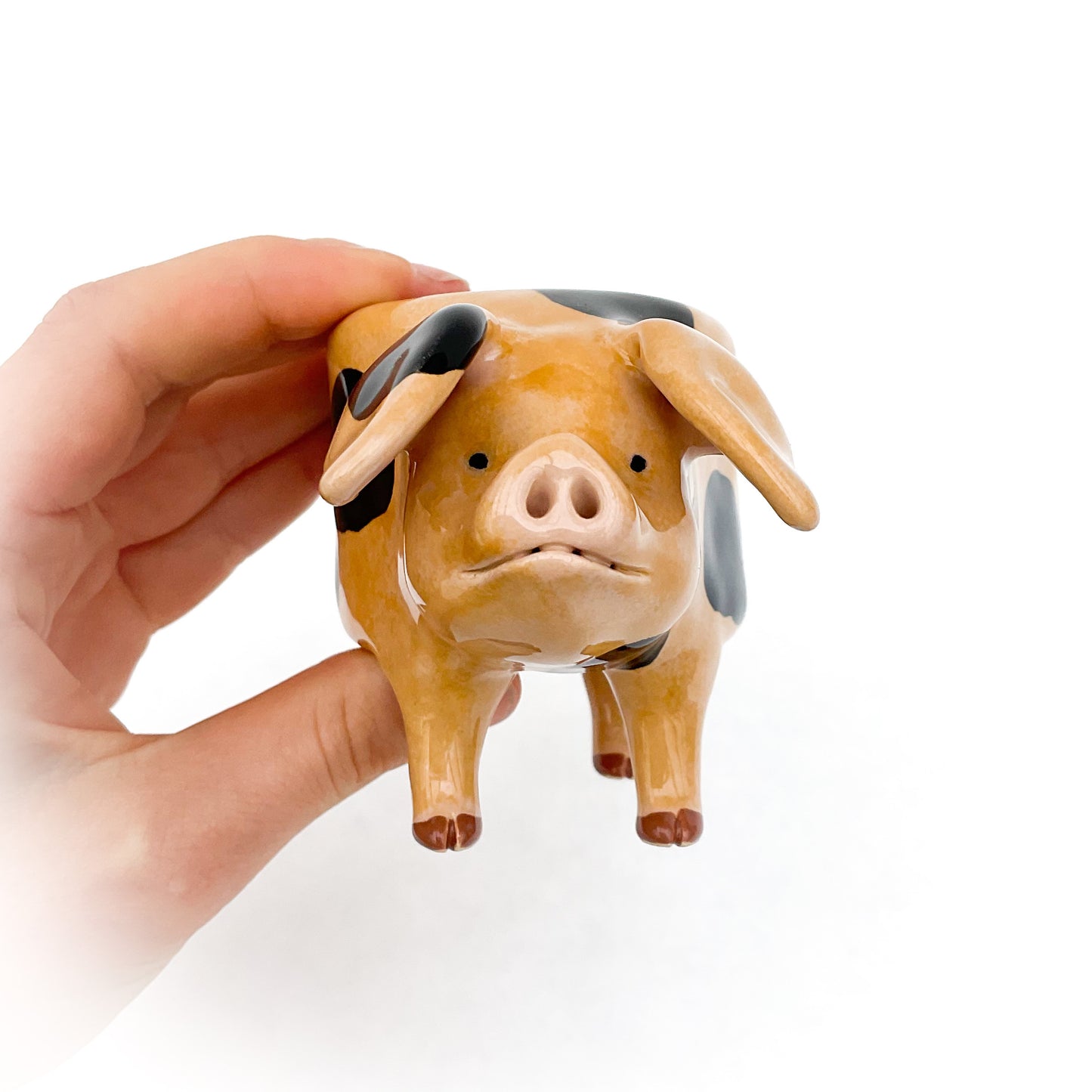 Gloucestershire Pig Pot