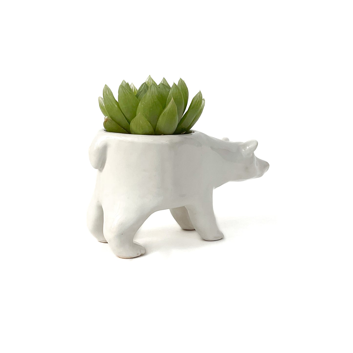 Baby Polar Bear Ceramic Planter