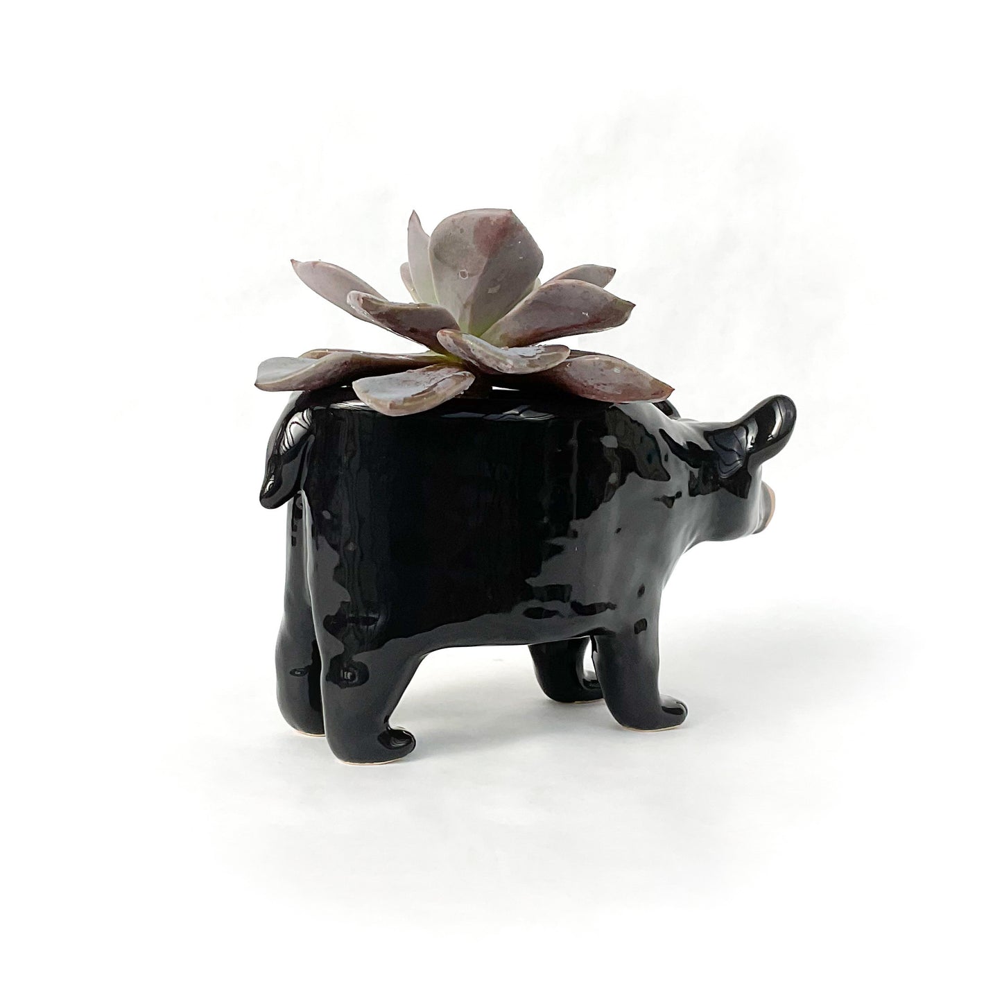 Black Bear Ceramic Planter