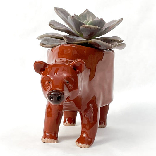 Grizzly Bear Ceramic Planter